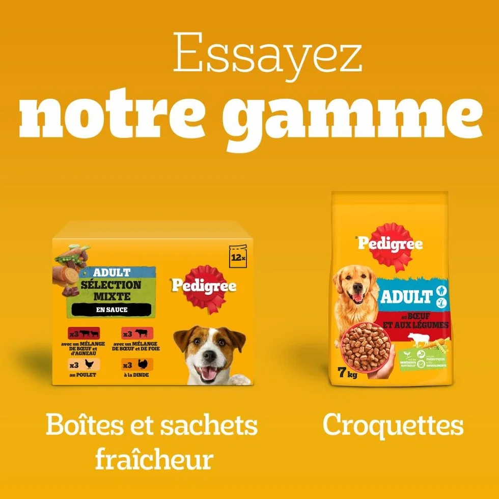 PEDIGREE DENTASTIX 56 Bâtonnets à Mâcher pour Petits Chiens 5-10kg, Saveur Poulet et Bœuf