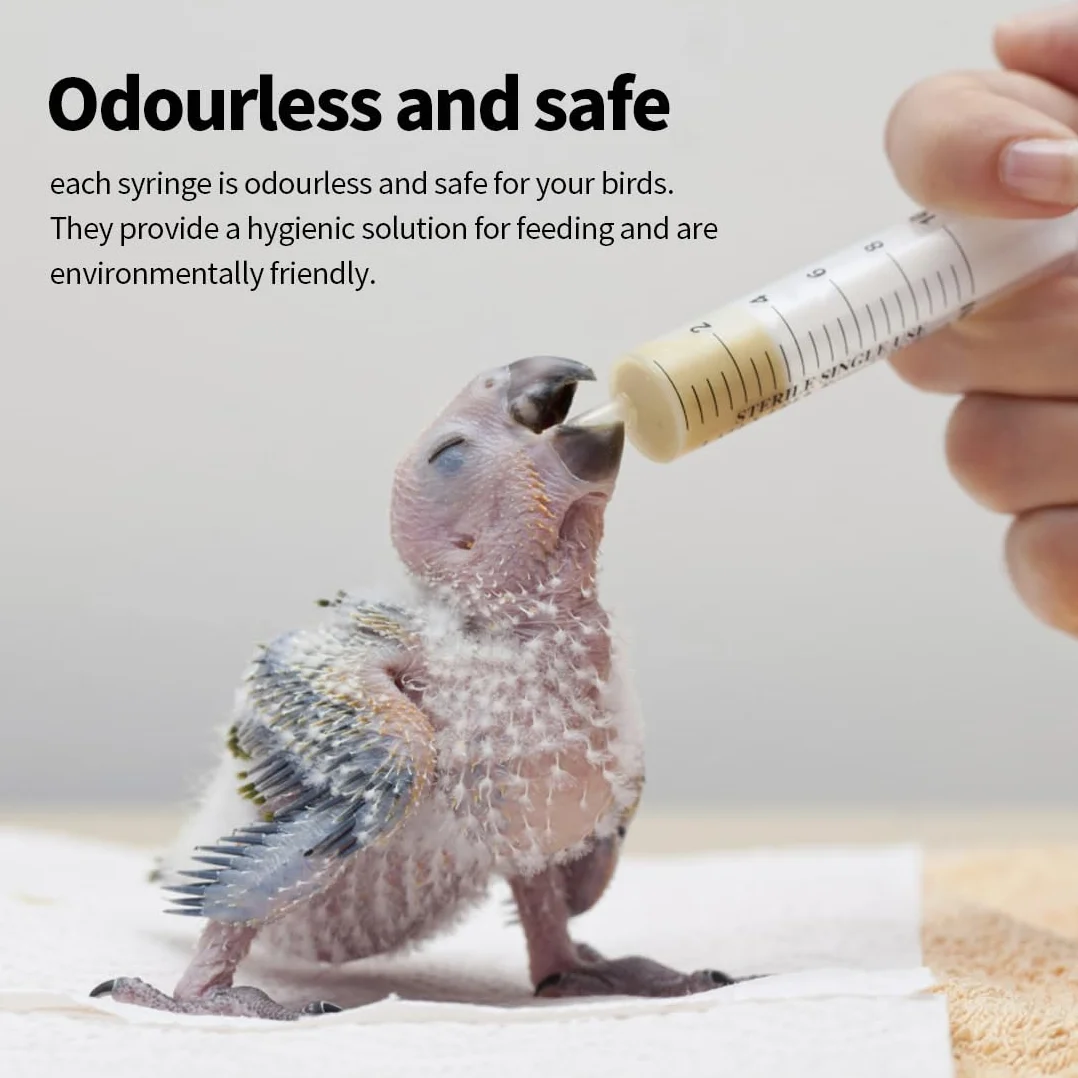Seringues Alimentaires 10ml avec Tubes de Gavage pour Oiseaux Pigeons Perroquets