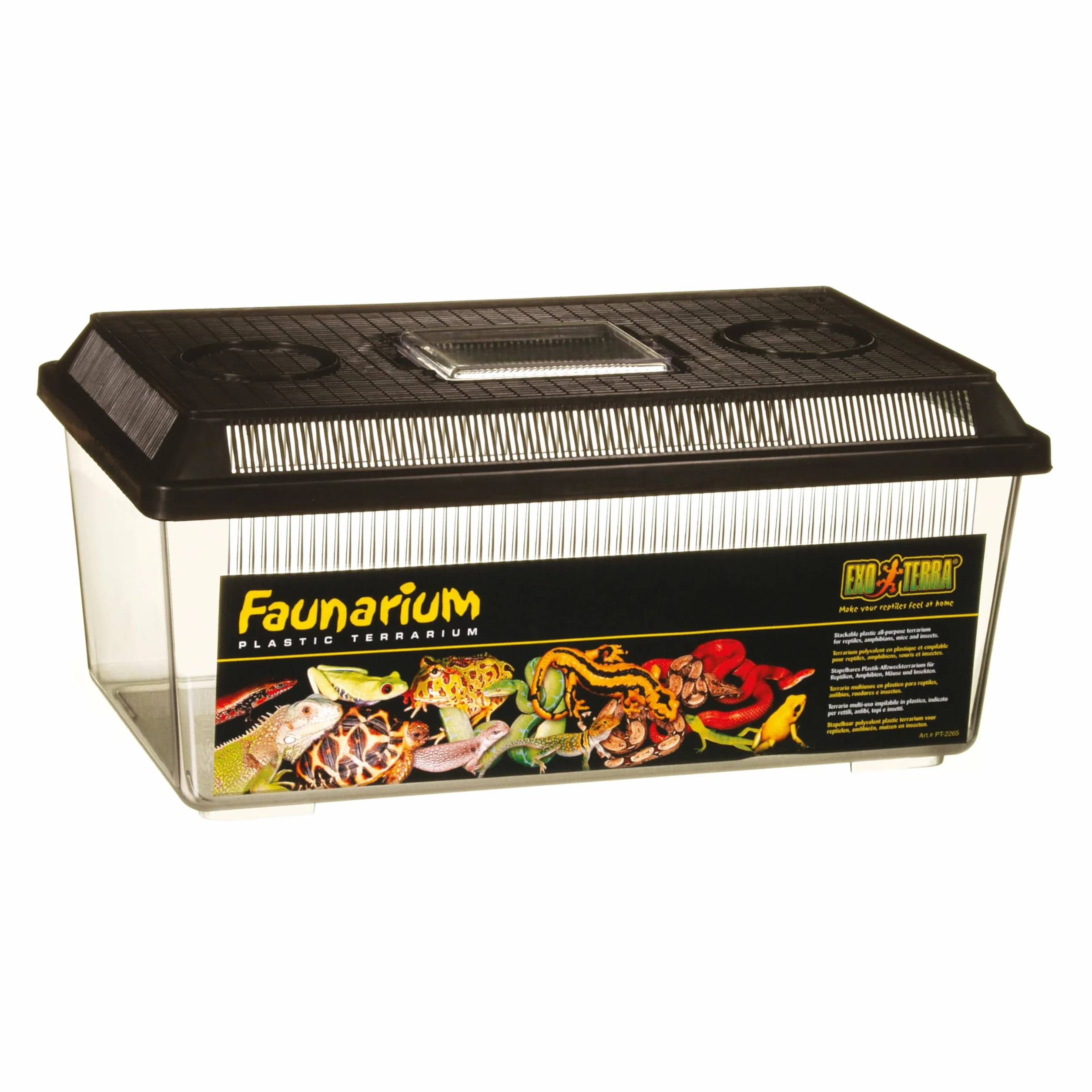 Exoterra Terrarium Polyvalent pour Reptile Amphibien 36 x 21 x 16 cm