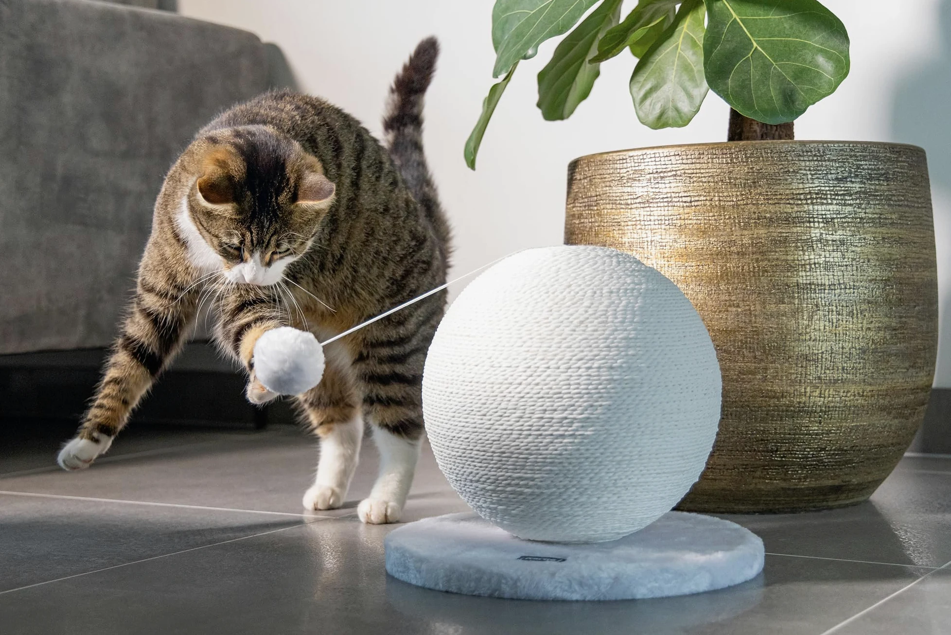 Karlie Boule à gratter pour Chat - Bolly - 30,5 x 30,5 x 28 cm - Blanc