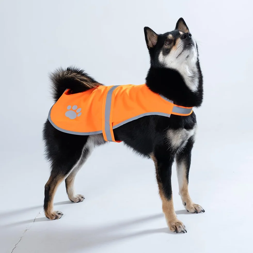Gilet Réfléchissant pour Chien Haute Visibilité Orange M