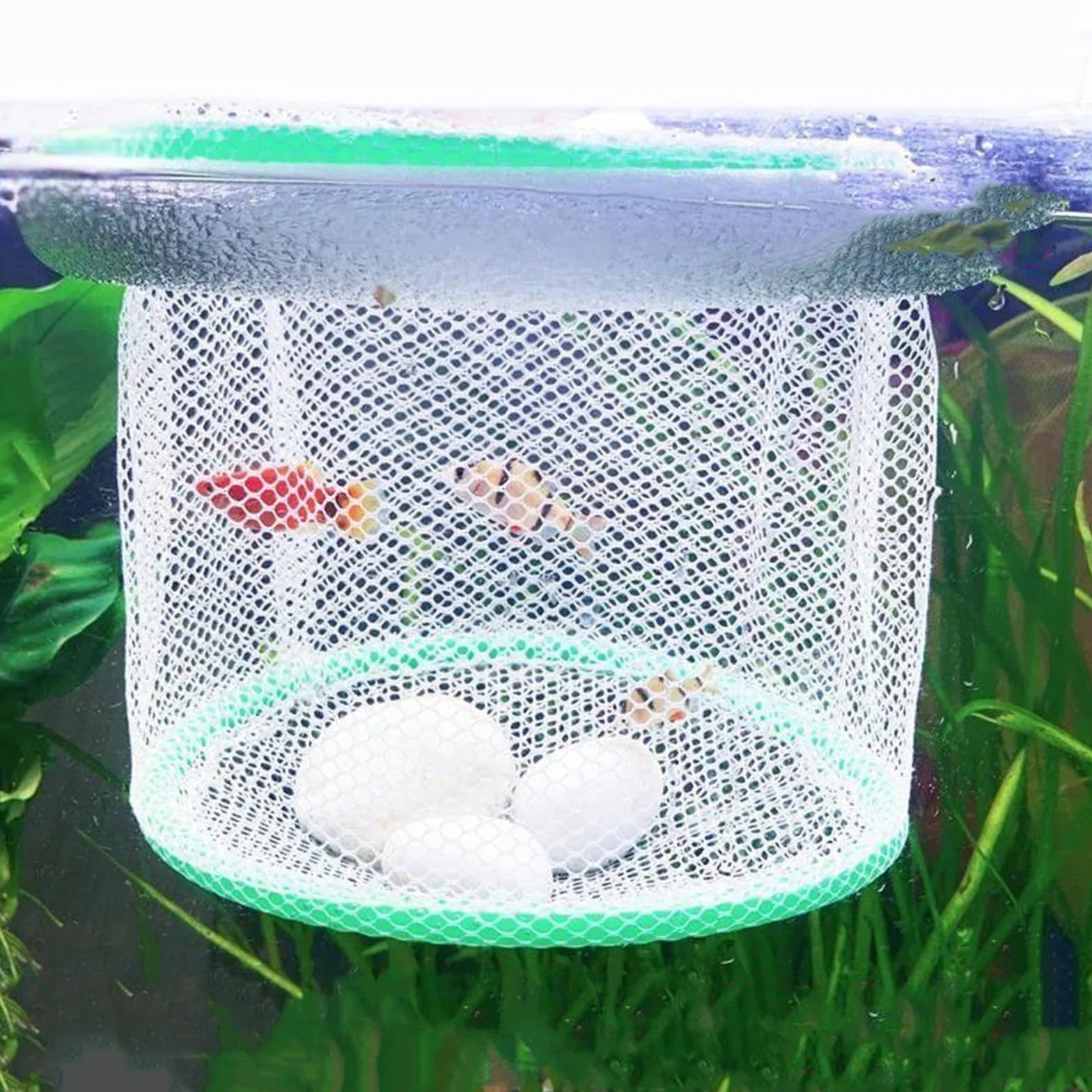 Sharplace Filet d'élevage d'aquarium en Nylon flottant pour guppys, alevins et poissons agressifs