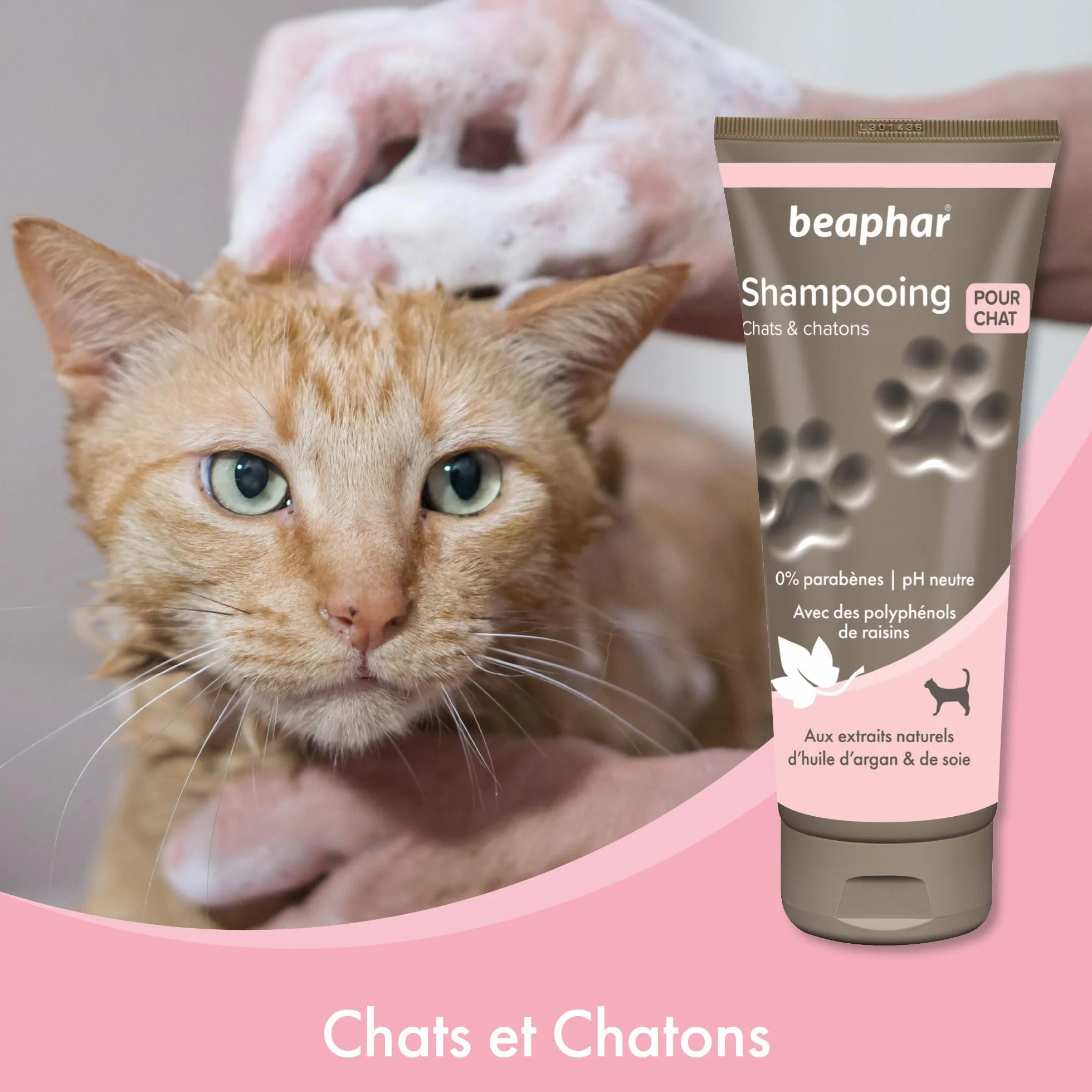 BEAPHAR Shampoing Premium Chat Chaton 200ml pH Neutre sans Parabens
