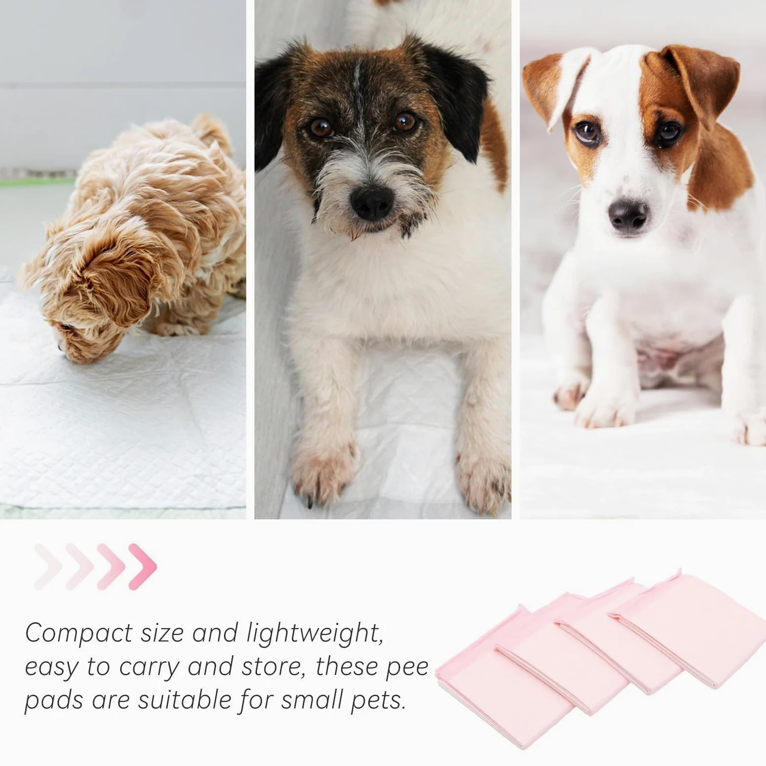 Générique 100 Pièces Tapis D'entraînement pour Animaux Ultra Absorbant | Non Tissé, Léger et Facile à Ranger, pour Chiot et Chien Âgé