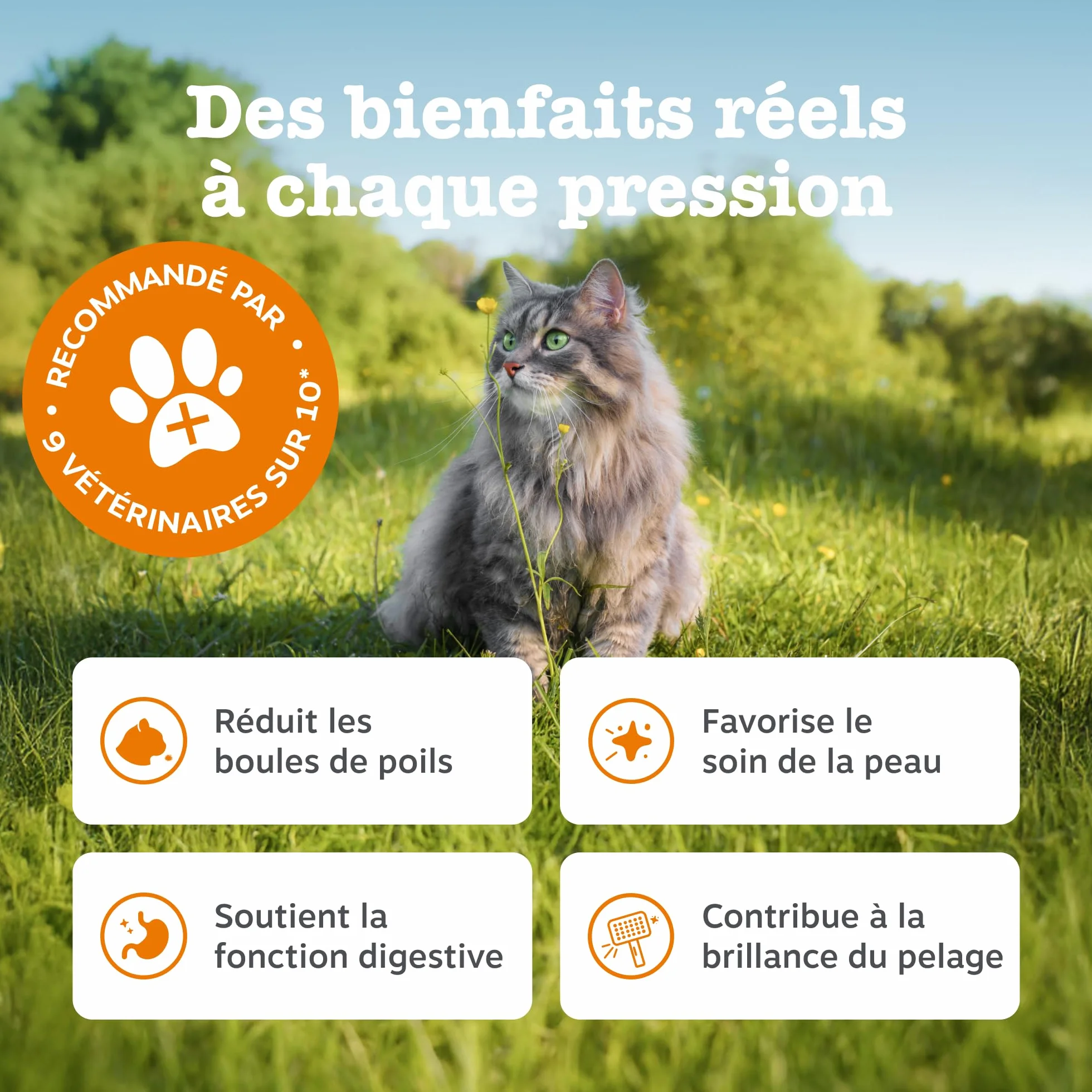 Zesty Paws Pâte Anti-Boule de Poils Chats Omega-3 Psyllium Inuline Extrait de Malt 75g