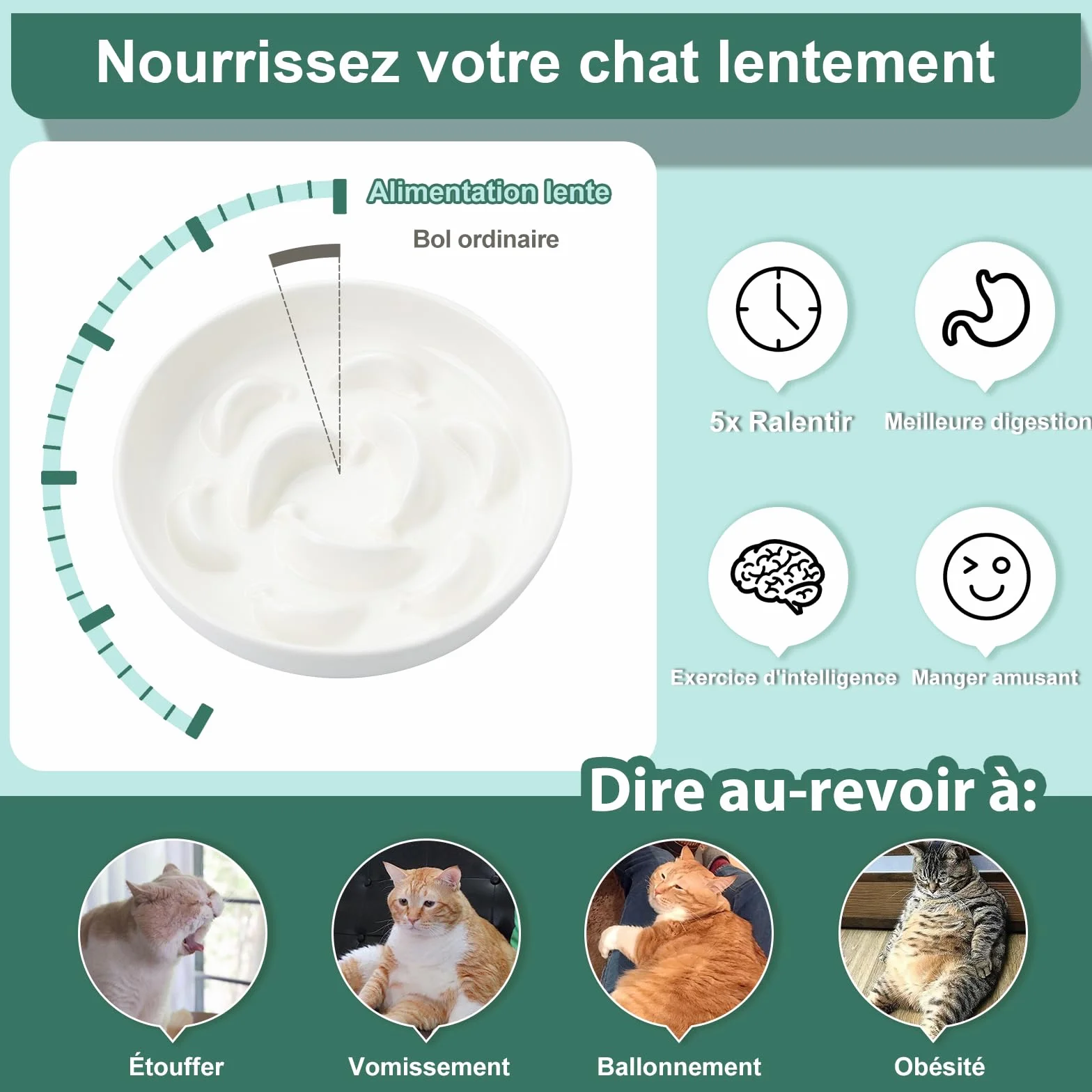 Gamelle Anti Glouton Céramique Bol Nourriture Chat Anti Vomissement Labyrinthe Interactif Blanc Ivoire 16 x 3 cm