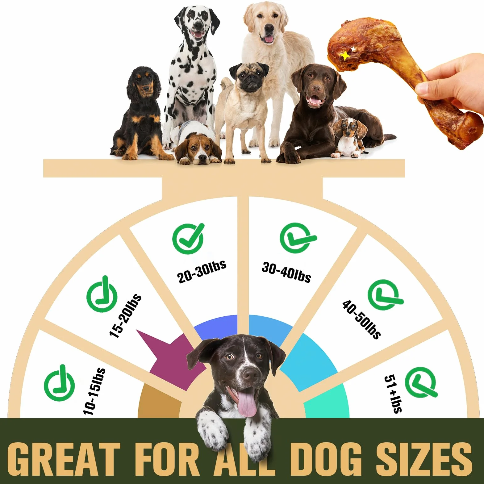 Os à mâcher géant pour chiens longue durée, jouet naturel soins dentaires, bœuf nourri à l'herbe XXL 2 pièces