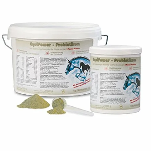 Probiotique 2000 g
