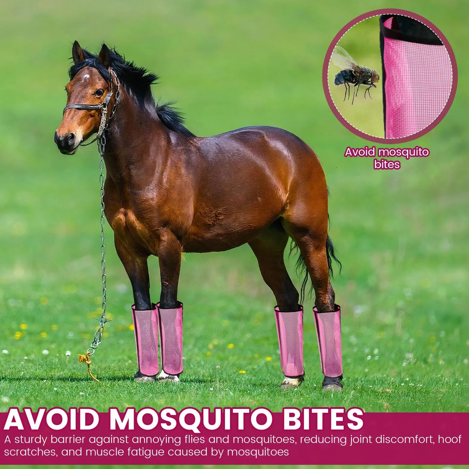 Lot de 4 bottes en maille respirante pour cheval - Legging confortable - Fatigue des jambes - Enroulez les jambes pour protéger (rose)