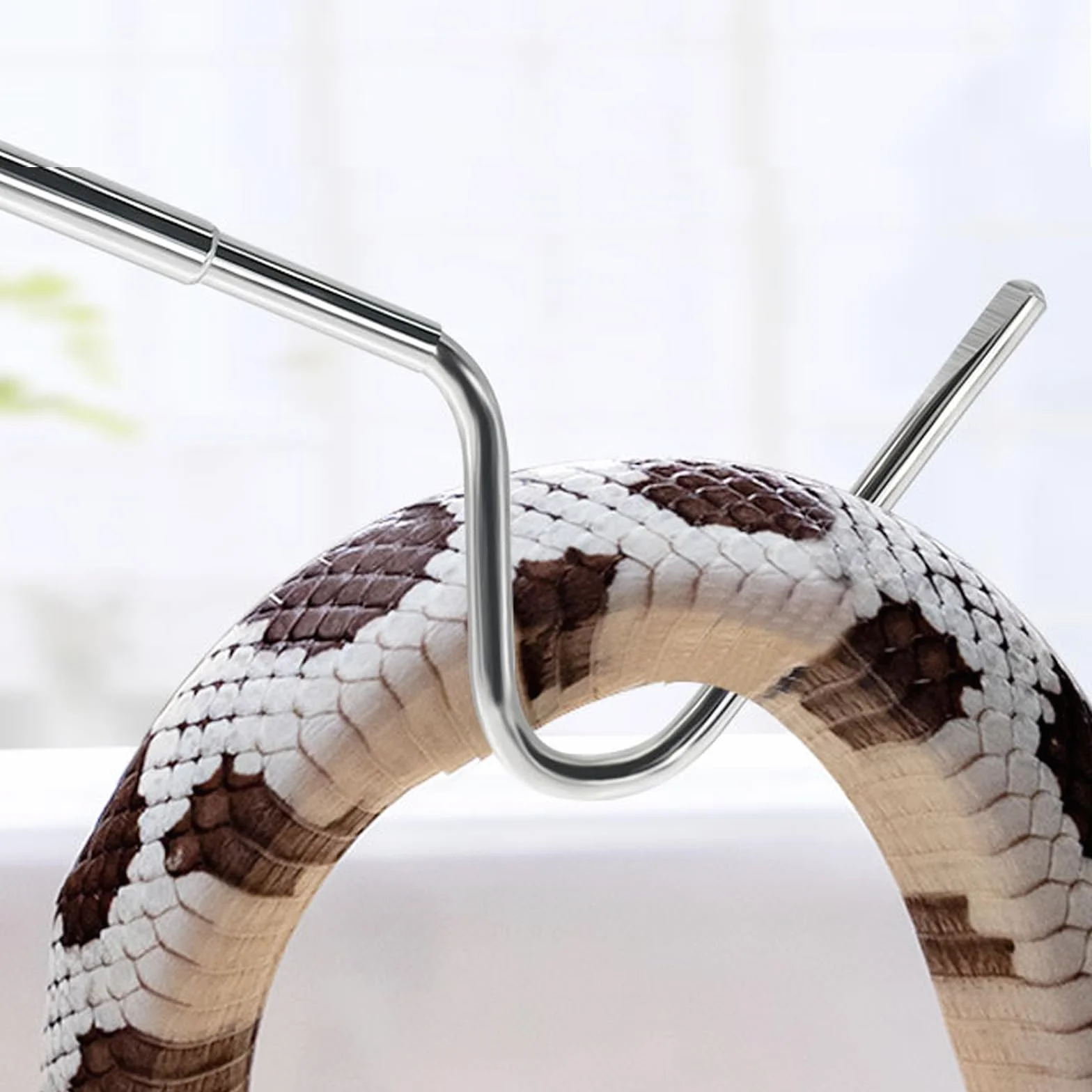 Crochet télescopique en acier inoxydable pour reptiles