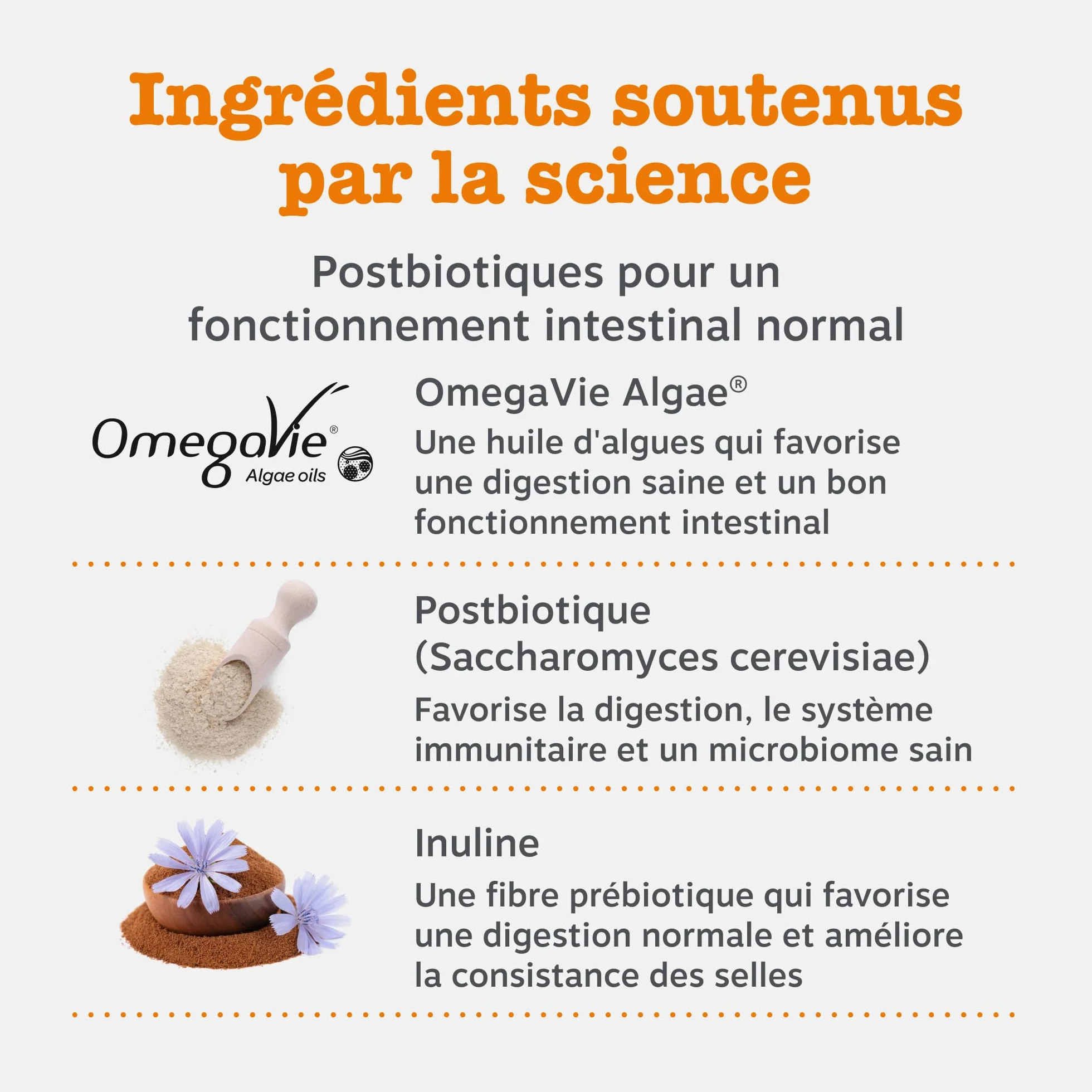 Zesty Paws Pâte Digestion Prébiotiques Chats 75g