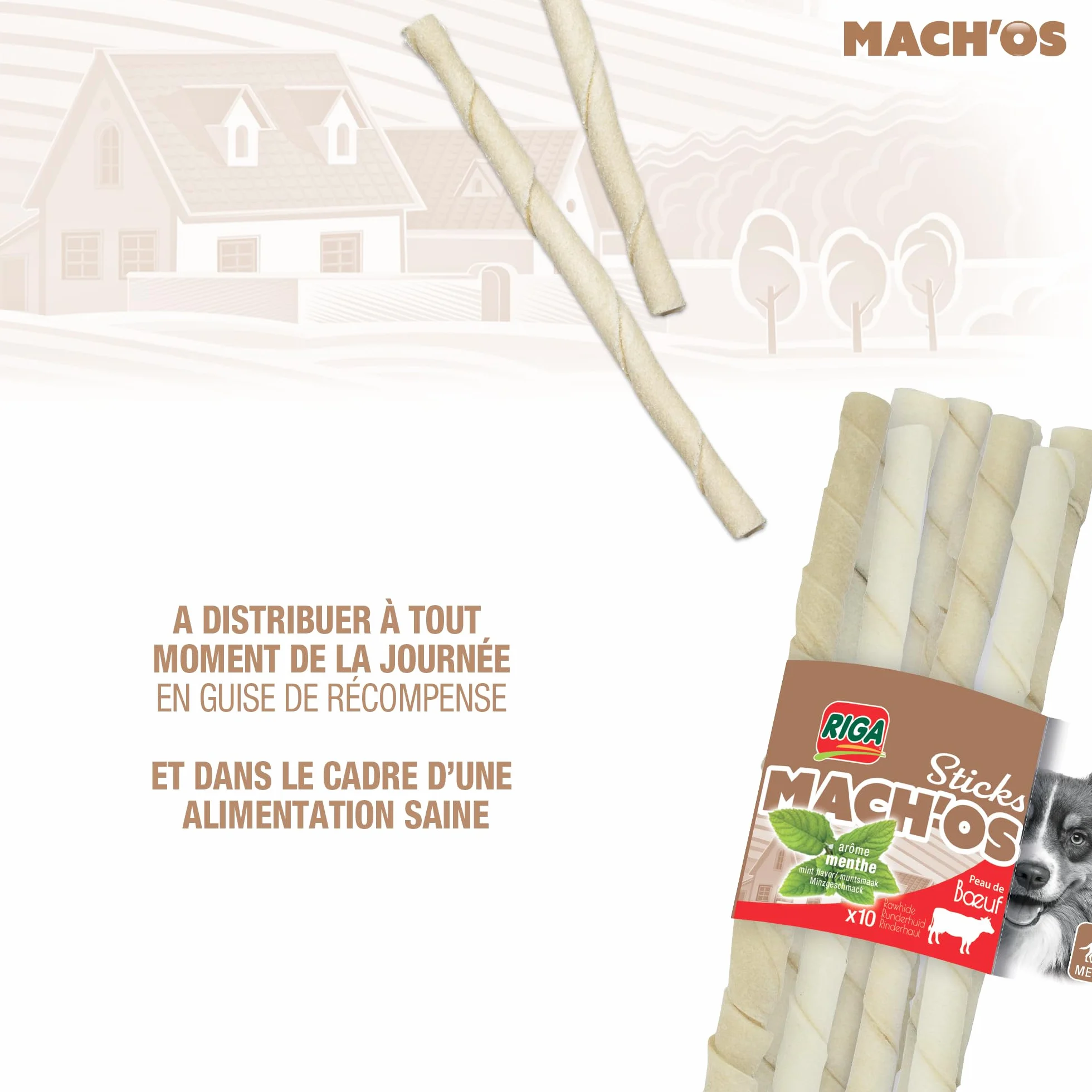 RIGA - Mach'os - Bâtonnet Torsadé Blanc - Friandise Chien - A La Menthe - Peau De Buffle - Riche en Protéines - Hygiène Buccale - Mastication Et Récompense - pour Moyen Chien - x 10