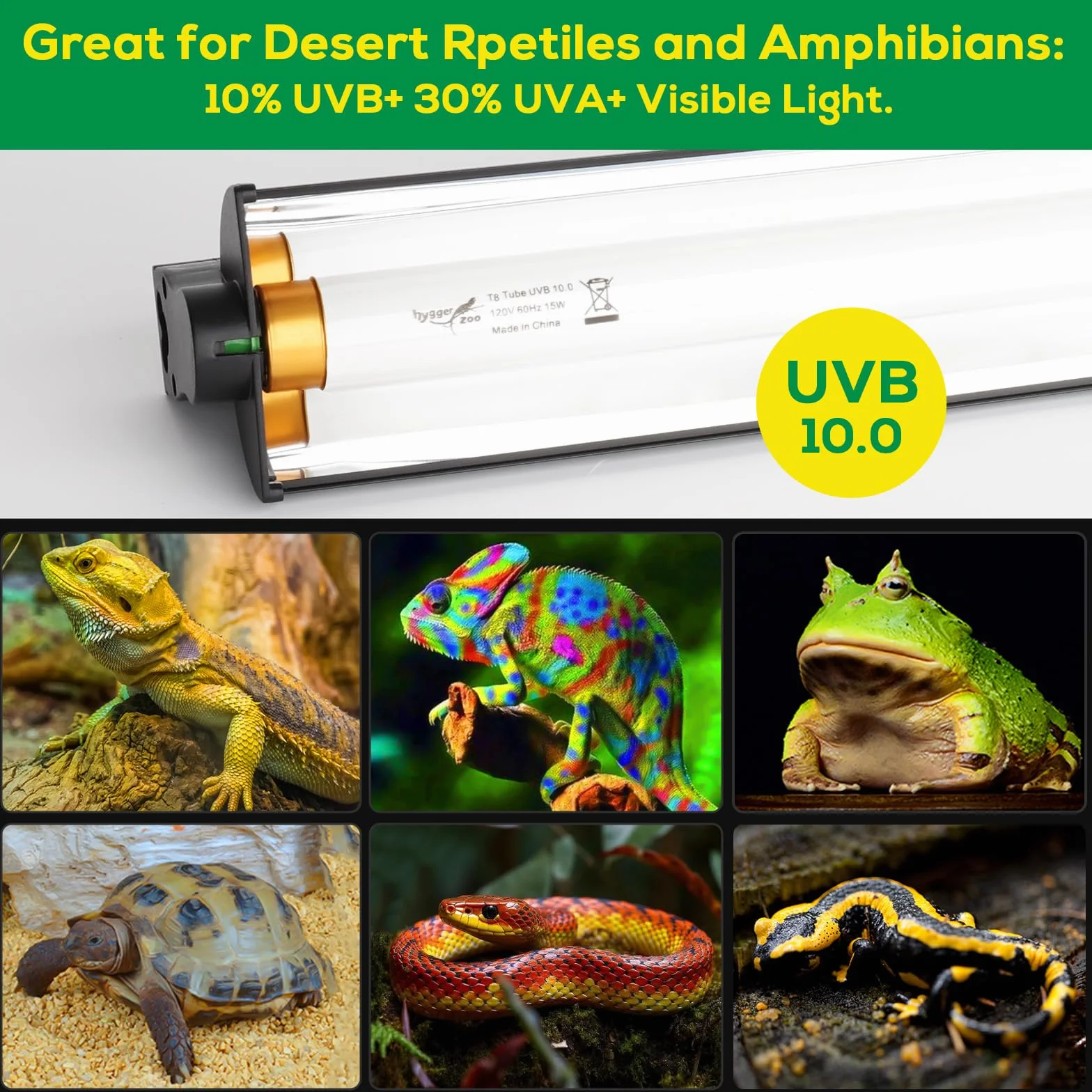 Kit d'éclairage T5 UVB pour reptiles, ampoule HO UVB 10.0, capot terrarium 8 W, 30,5 cm