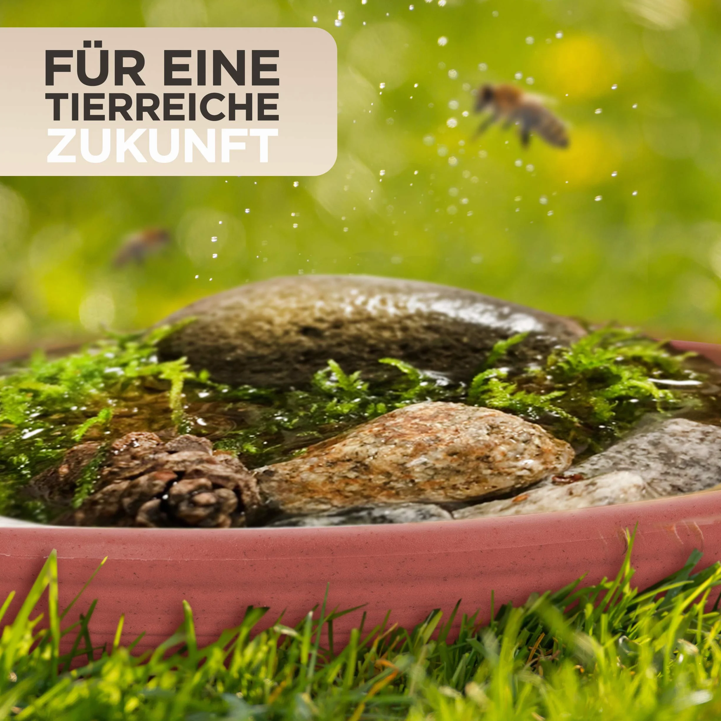 Abreuvoir à insectes pour abeilles 14 cm EasyClean plastique résistant au gel