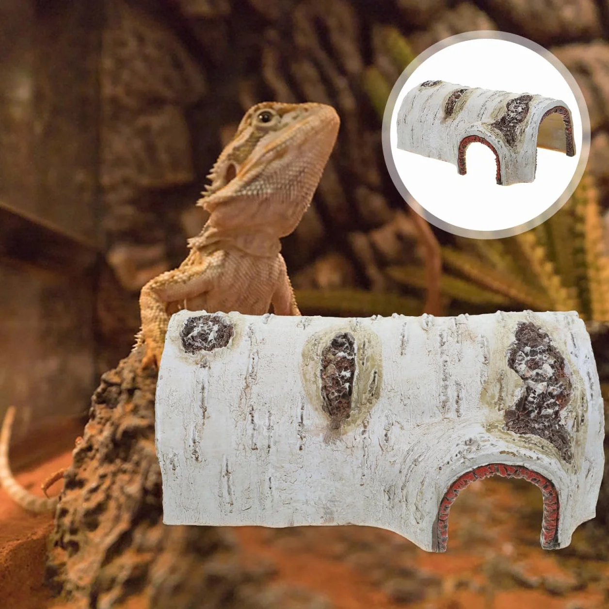Cachette pour Reptiles Grotte Naturelle pour Tortues Lézards 5.31x3.54x2.17In Abri Frais Terrarium