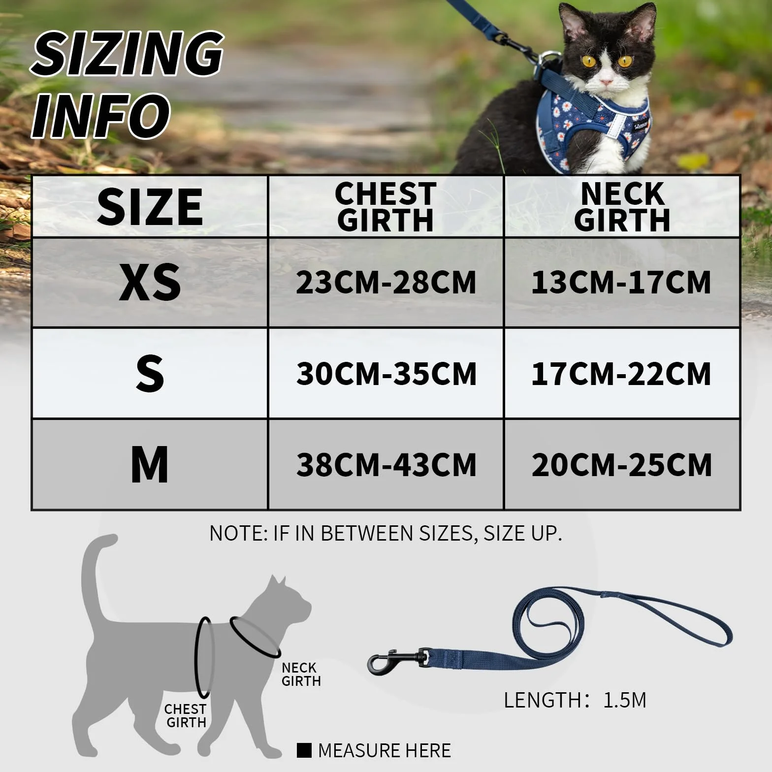 Harnais pour Chat Arblina avec Laisse Souple et Respirant Réflecteurs, Bleu XS