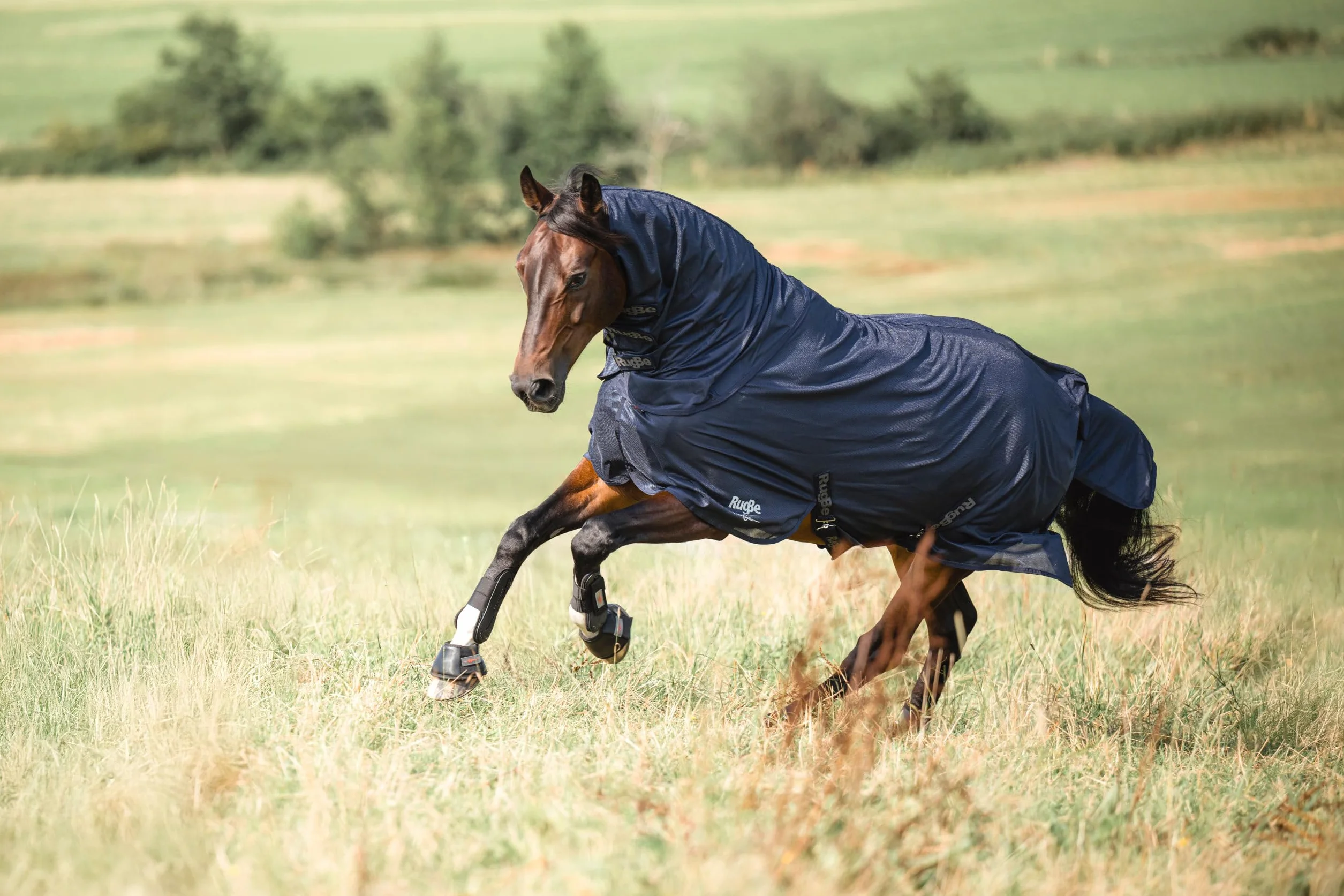 Covalliero Couverture Anti-Mouches RugBe Superfly 155 cm 205 cm Cheval