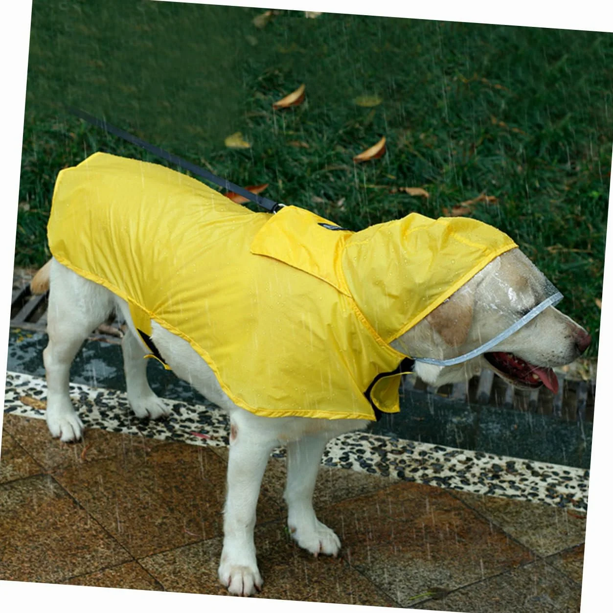 Manteaux de Pluie imperméables pour Chien, imperméable pour Chien, 2 pièces, Gilet réfléchissant à Capuche pour Chien, Gilets réfléchissants, Manteaux de Pluie