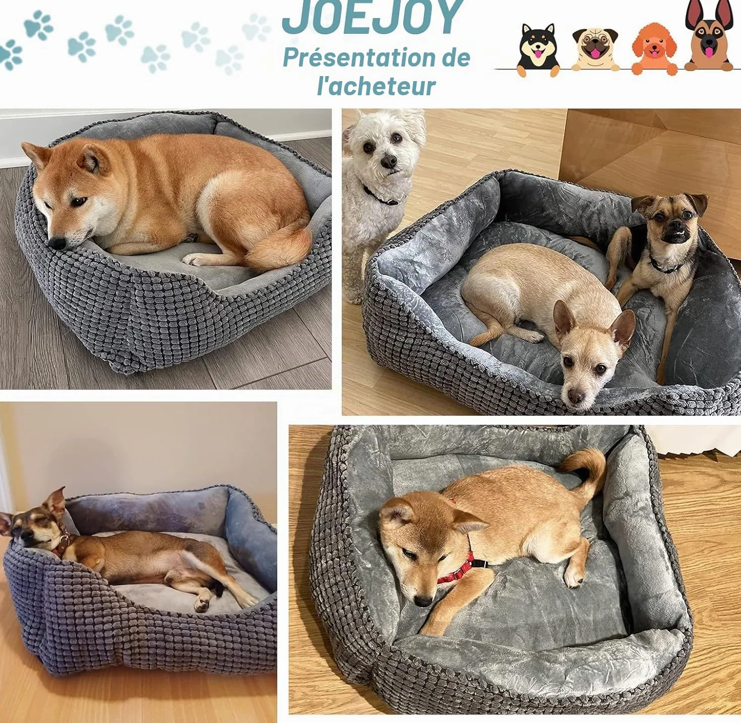 JOEJOY Panier pour Chien Lit Lavable Antidérapant Coussin Doux 51x48x15cm
