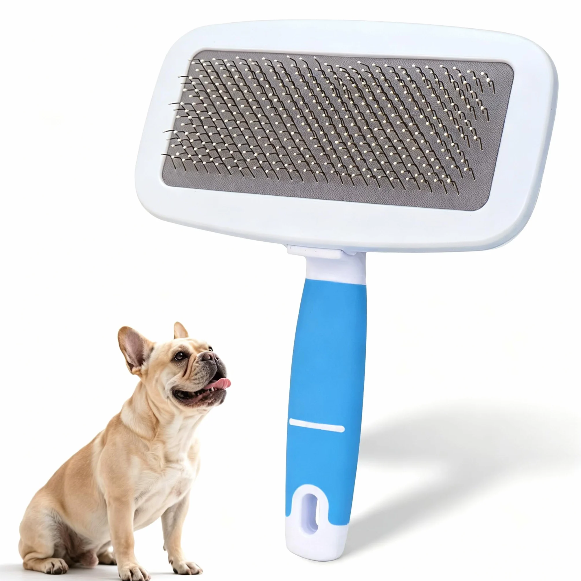 Brosse pour bouledogue français, douce pour la peau, bleu