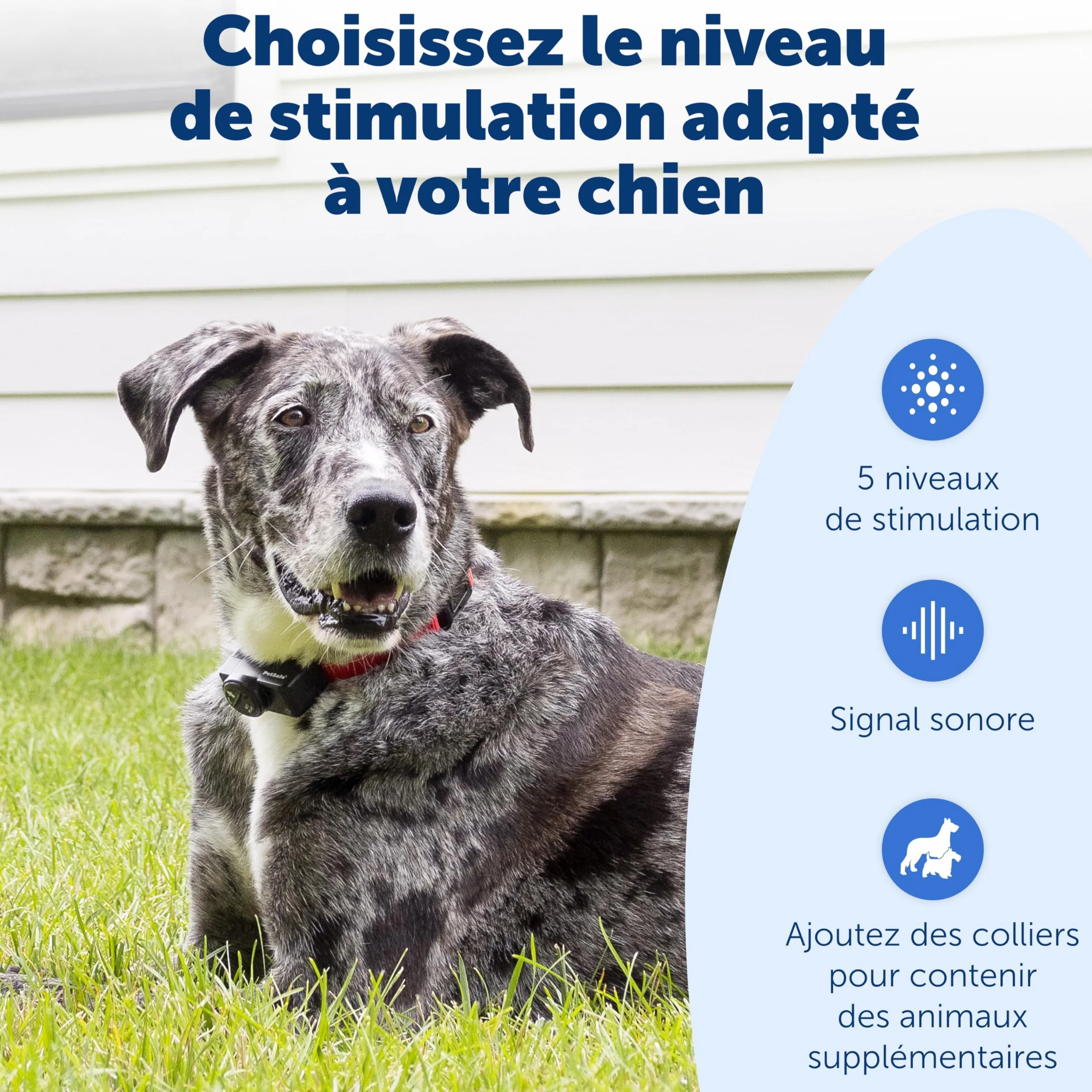 PetSafe Système Anti-Fugue sans Fil Portatif Collier Imperméable 5 Niveaux Stimulation Rayon 27.5m Pile