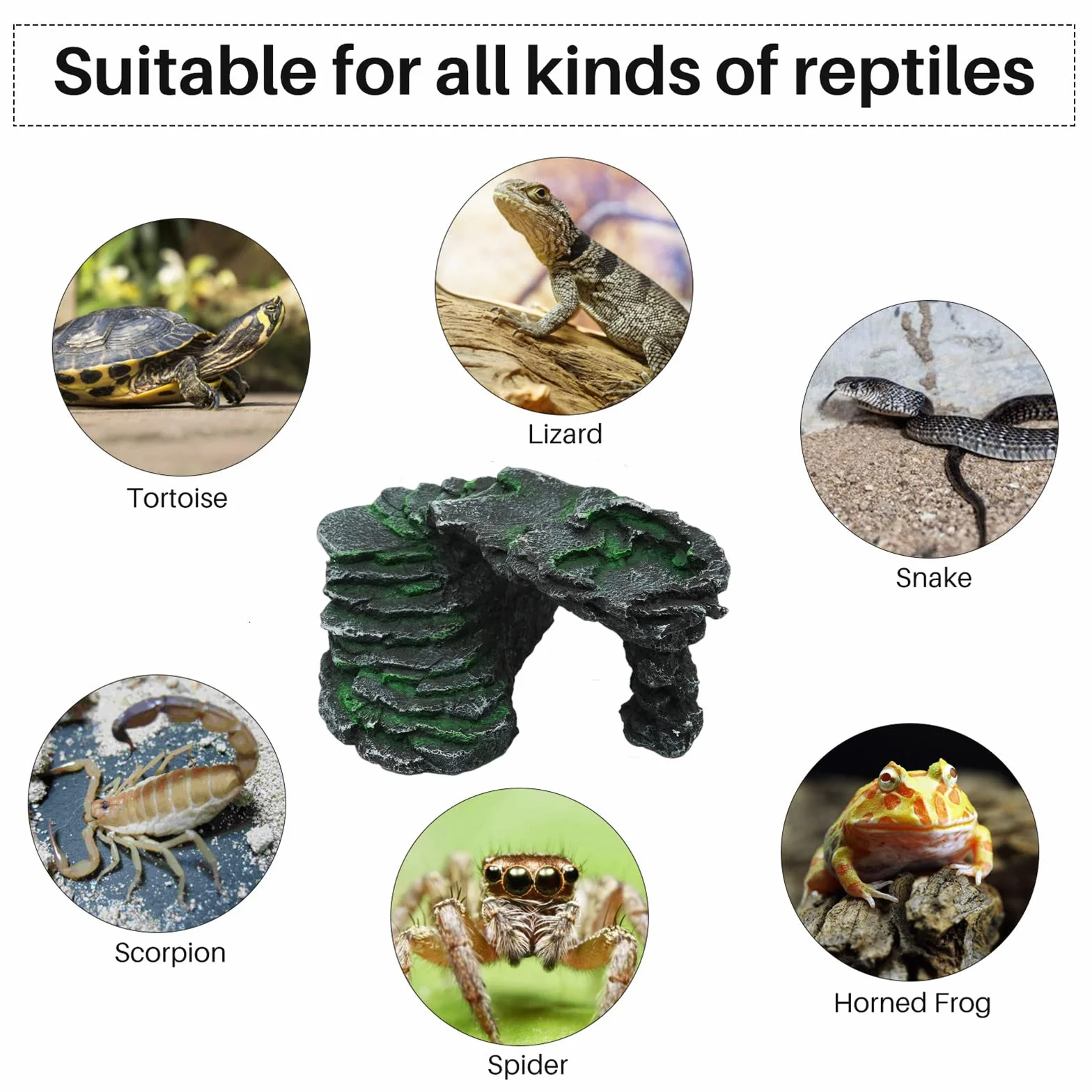 Résine Plate Forme pour Reptiles Tortue Abri Amphibiens Accessoire Décoration