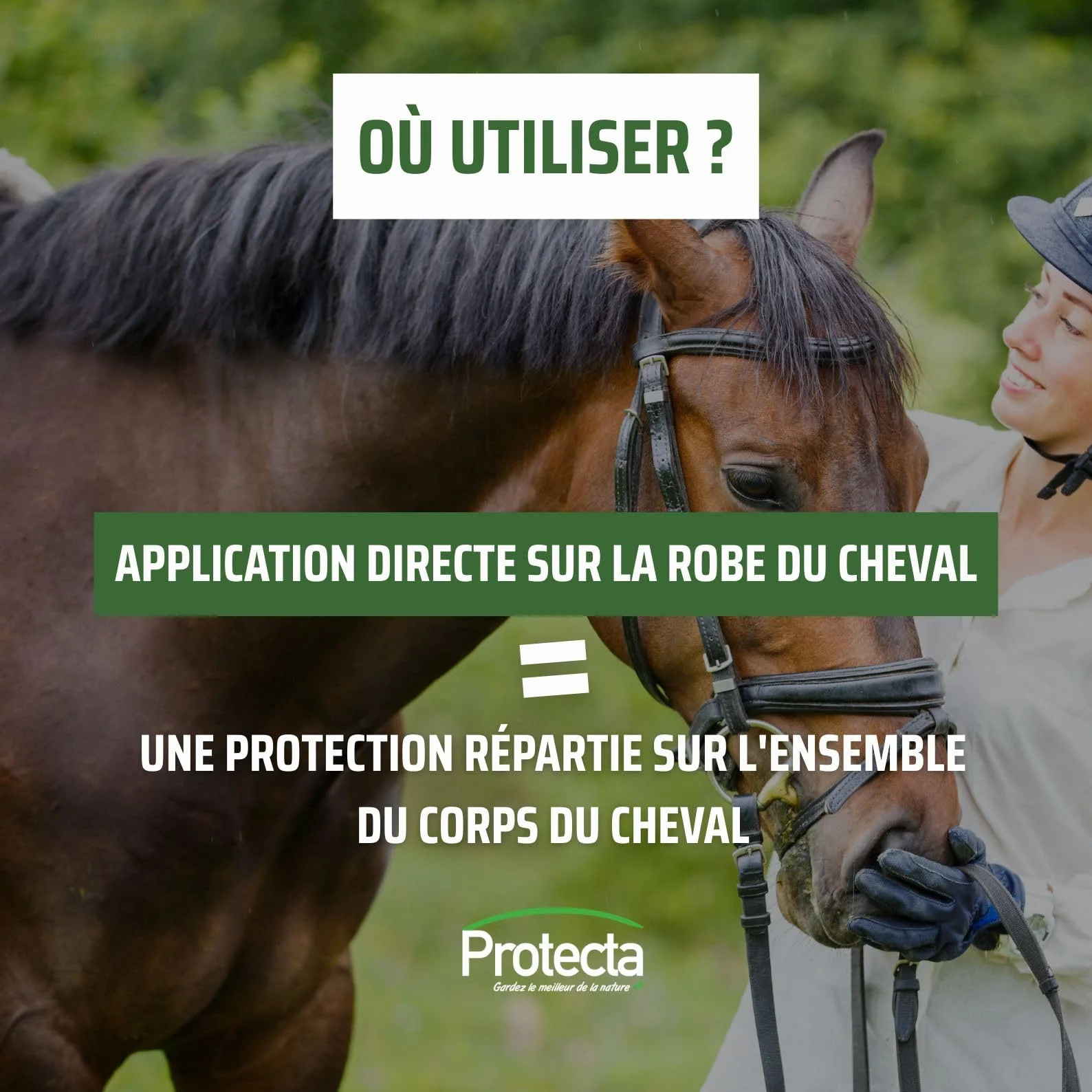 Protecta Répulsif Anti-Mouches Cheval 500mL Protection Longue Durée