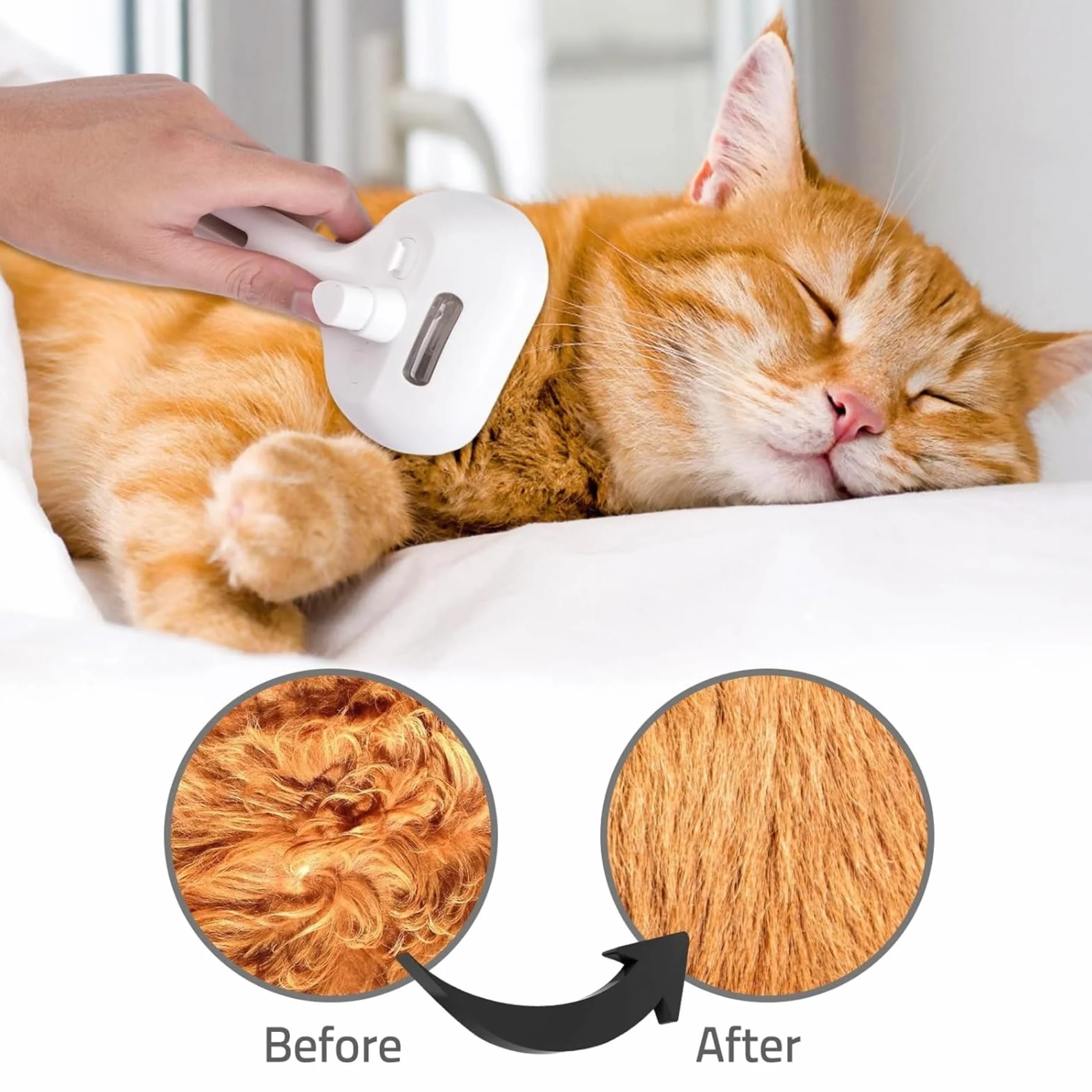 GROOMSY Brosse à vapeur rechargeable pour animaux de compagnie nettoyage pelage chiens chats