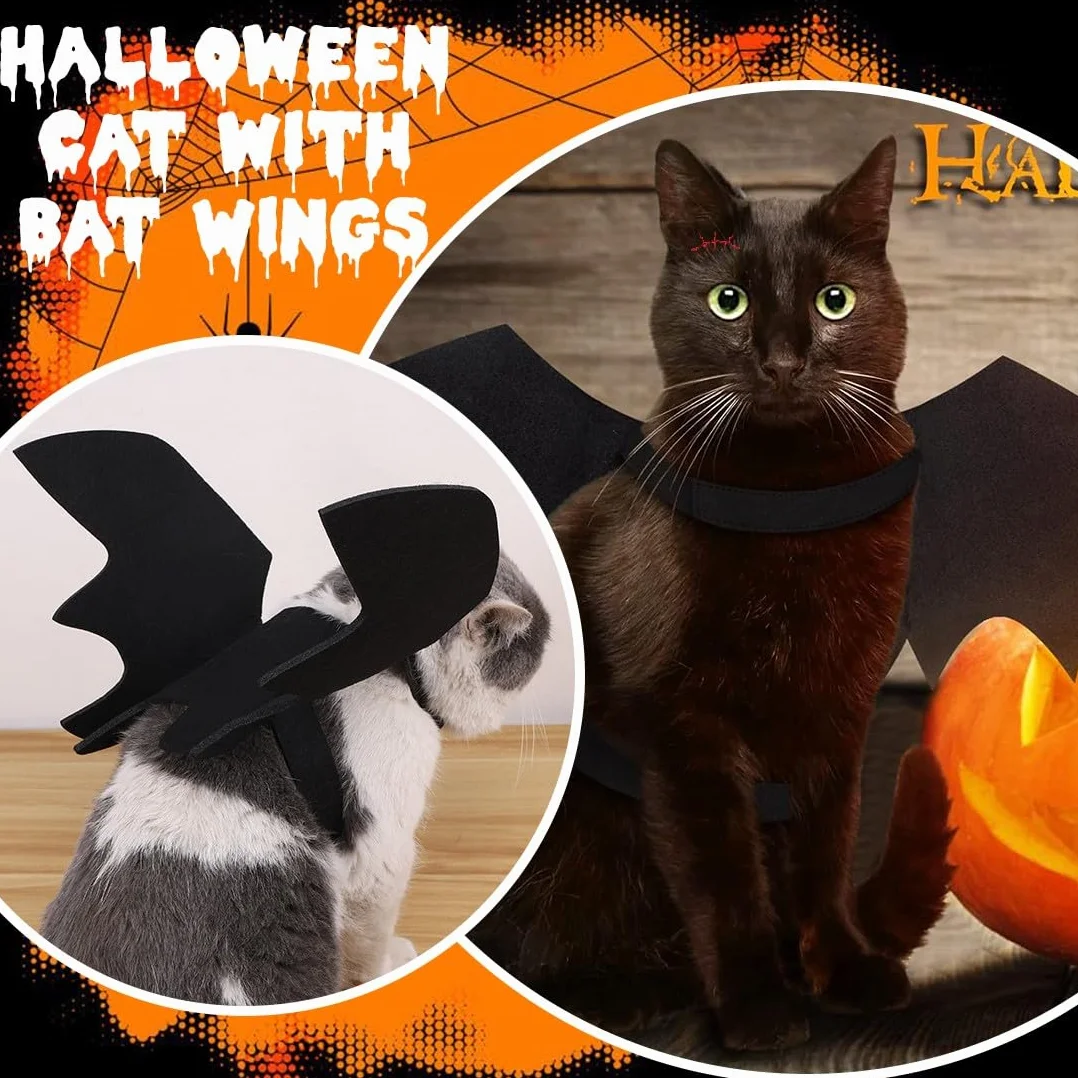 Costume d'Halloween pour Chat avec Ailes de Chauve-Souris