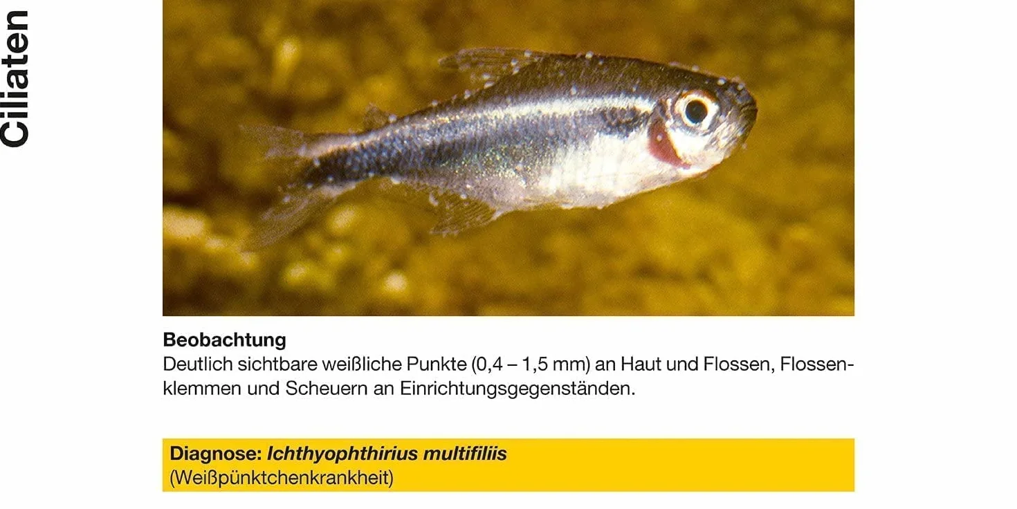 Sera Costapur Conditionneur d’Eau pour Aquariophilie 50 ML