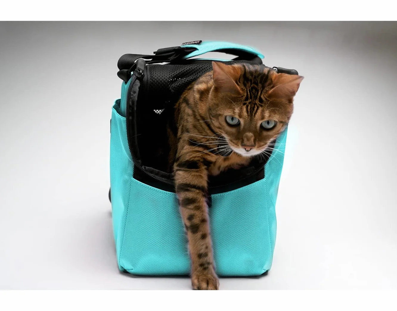 Sleepypod Atom, taille unique