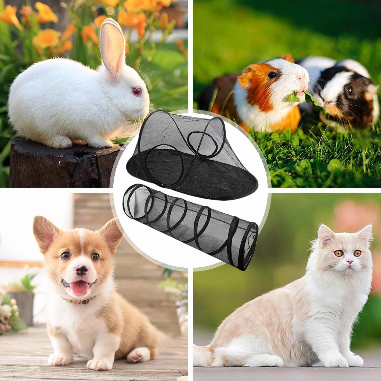 Tunnel pour chat extérieur pliable avec tente d'enceinte pour chats d'intérieur et d'extérieur