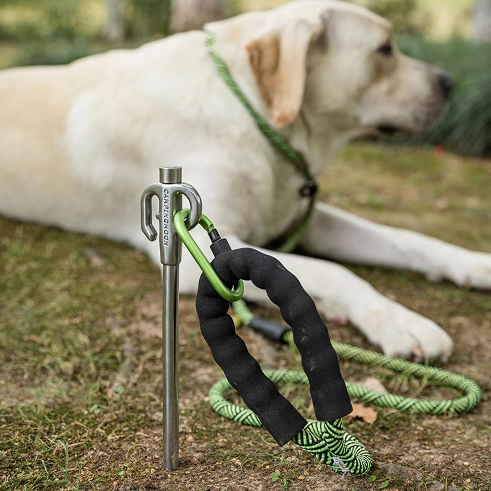 Piquet d'attache pour chien en acier inoxydable pivotant 360° 45 cm
