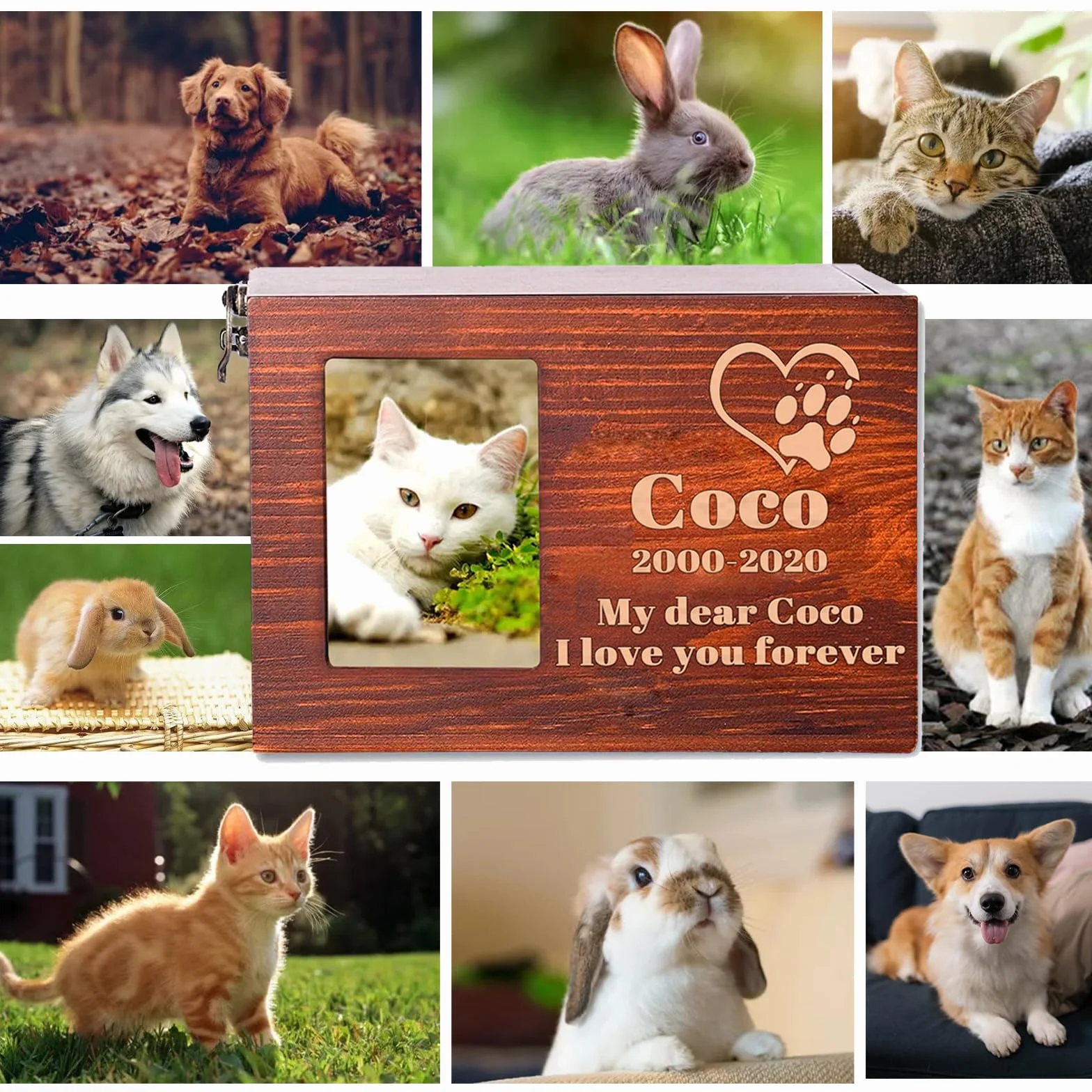 Urne Personnalisée pour Chien et Chat en Bois avec Gravure, Fente Photo, Date et Texte