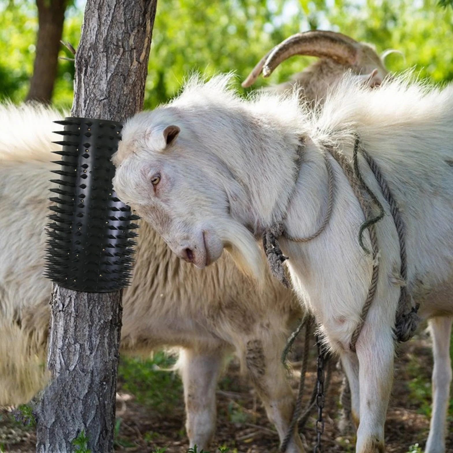Grattoir pour chevaux et bovins - Brosse de massage complète - Poteau à gratter pour vache, chèvre, bétail, mouton
