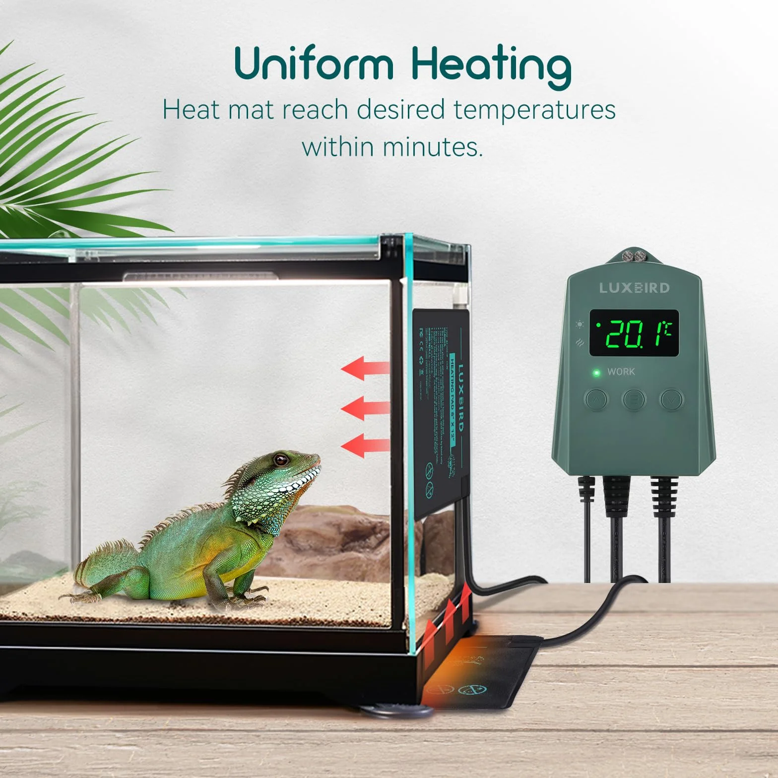 Luxbird Tapis Chauffant pour Terrarium avec Thermostat, 20x30cm, pour Reptiles et Tortues