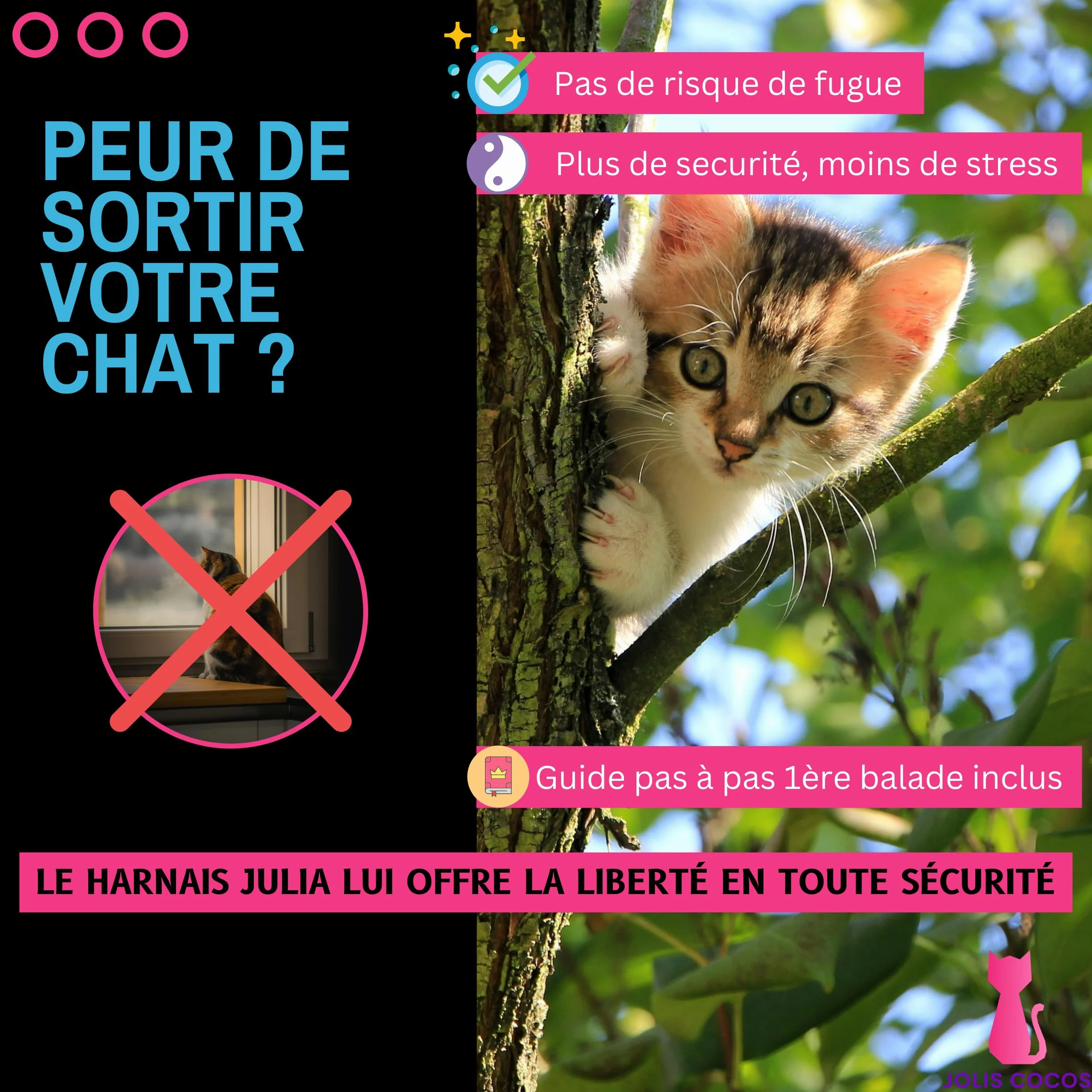 Harnais et Laisse pour Chat ou Lapin avec Guide Première Sortie, Accessoire Réglable Réfléchissant, Anti-Fugue