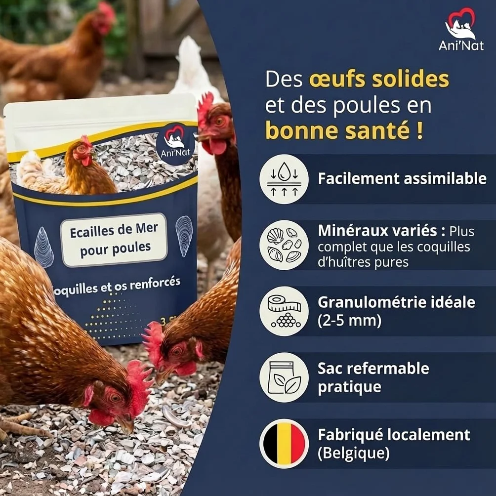 Ani'Nat Ecailles de mer pour Poules Pondeuses et Pigeons Minéraux Calcium Coquilles Solides 3,5kg