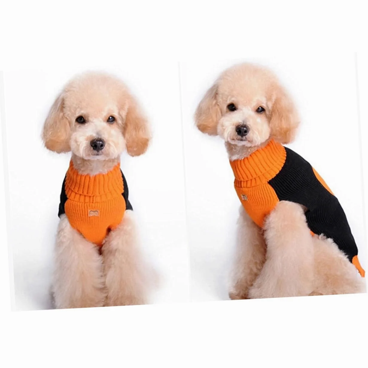 Kisangel 3 Pièces Pull pour Chien Citrouille pour Animaux de Compagnie vêtements d'halloween décor d'halloween déguisements Chandails décoration Pull-Over Robes Marrant décorer