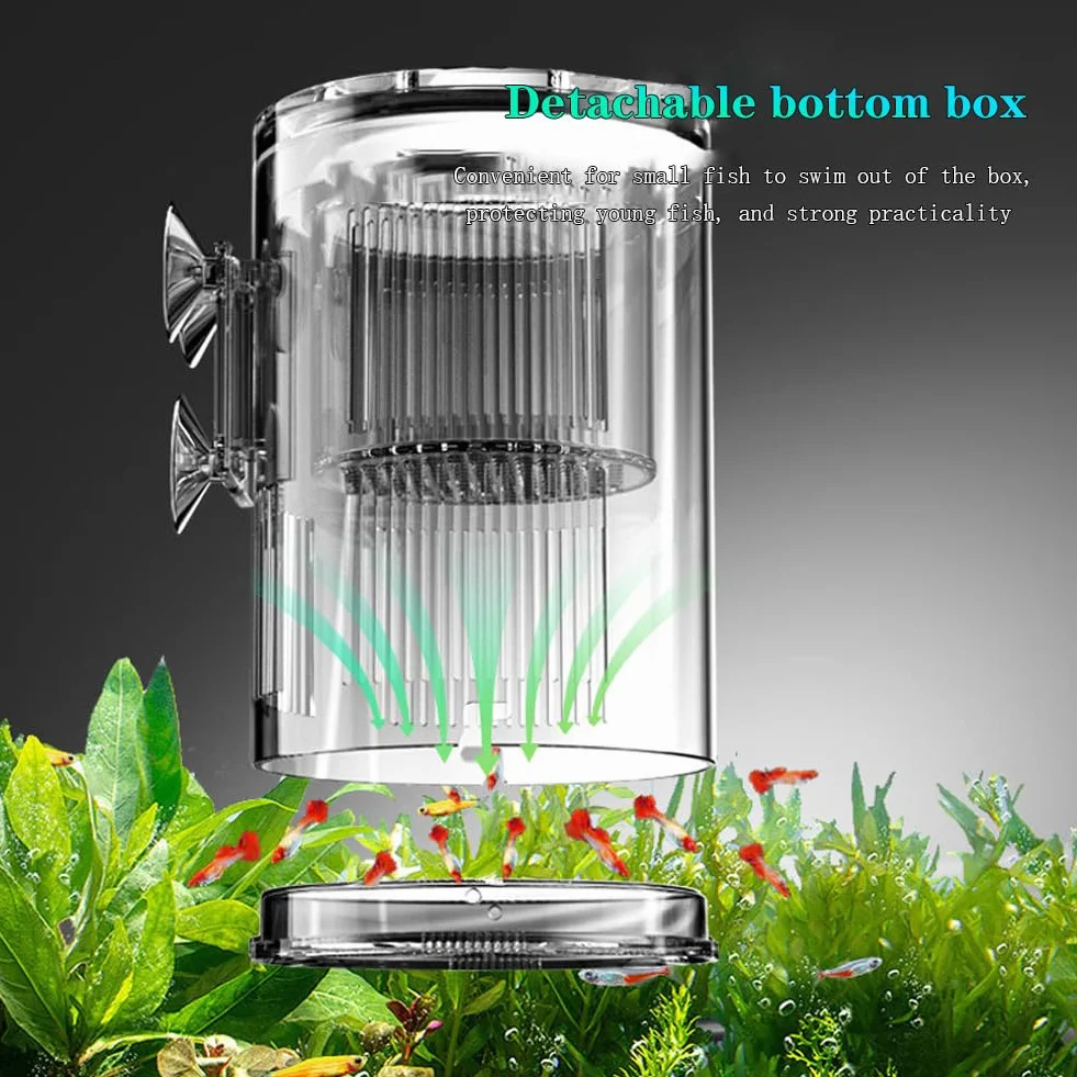 Boîte d'élevage en acrylique pour aquarium bébés poissons crevettes poissons-clowns guppy