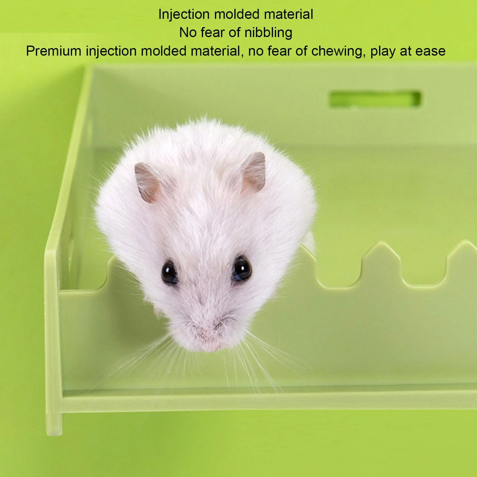 Plateforme de Jeu pour Hamster en Plastique avec échelle - Jouets Interactifs pour Petits Animaux