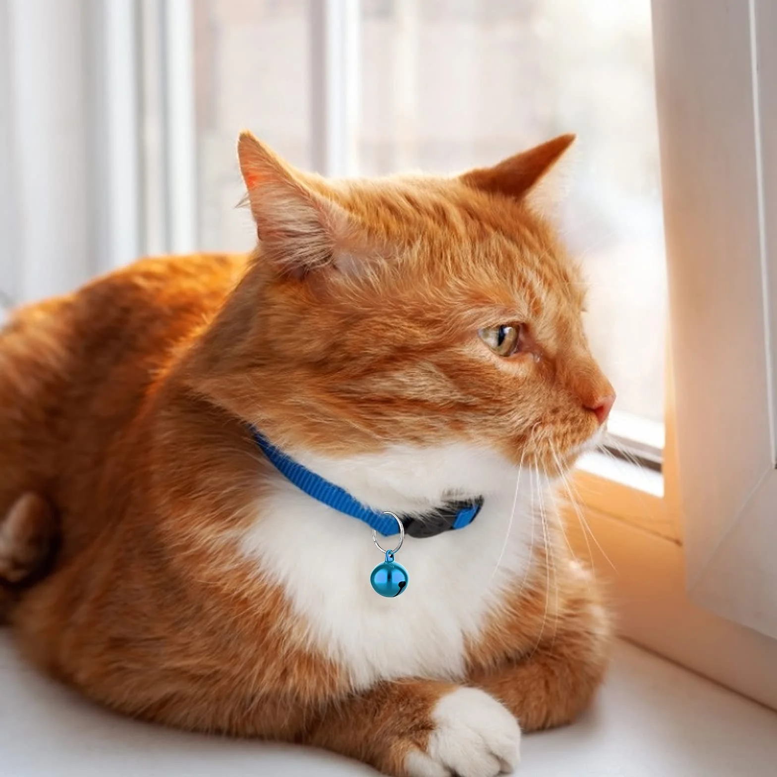 Molain Cloches de chat 24 pièces avec porte clés, Cloches de collier de chien formation Jingle Bell