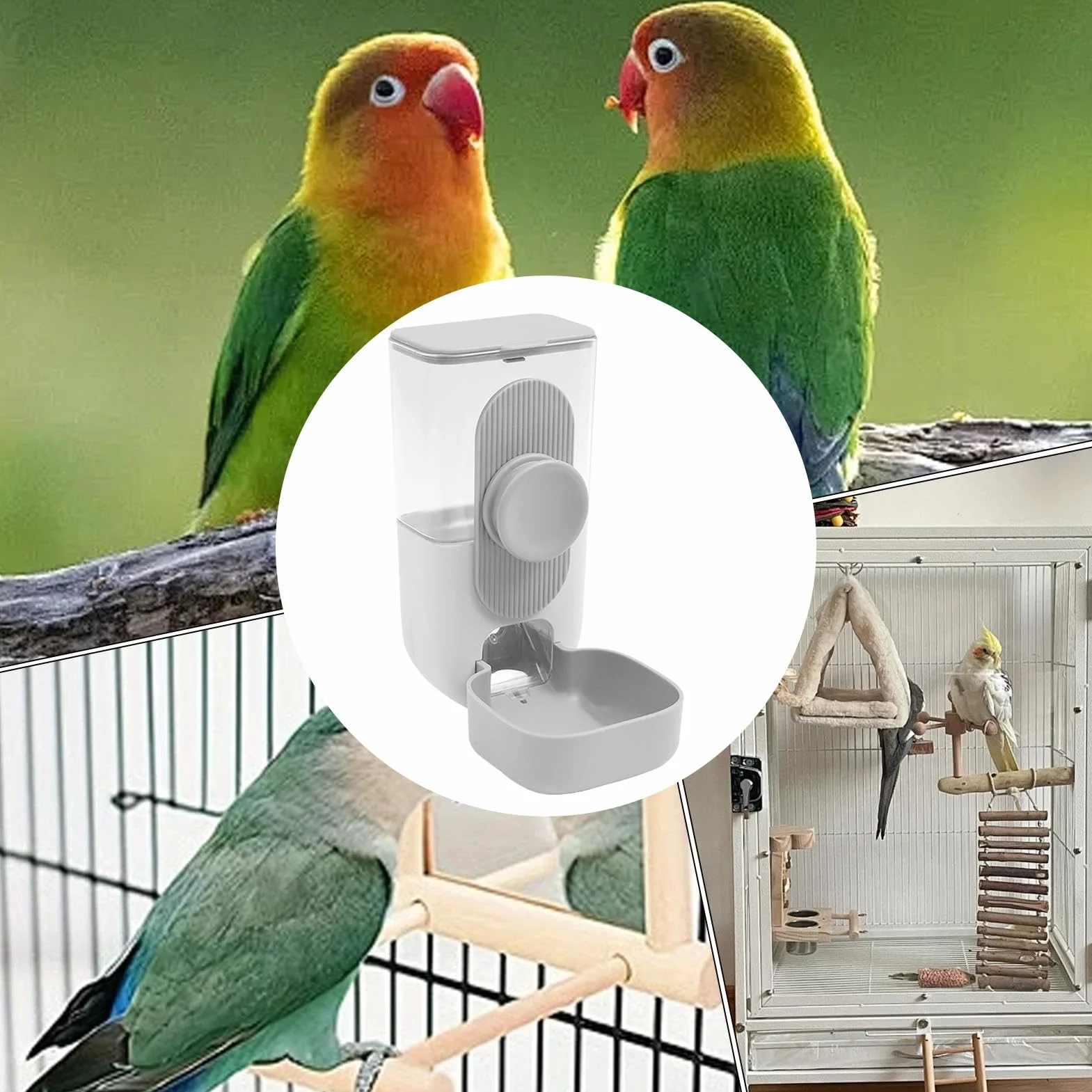 Mangeoires et abreuvoirs pour cage à oiseaux, système d'alimentation automatique pour perroquets