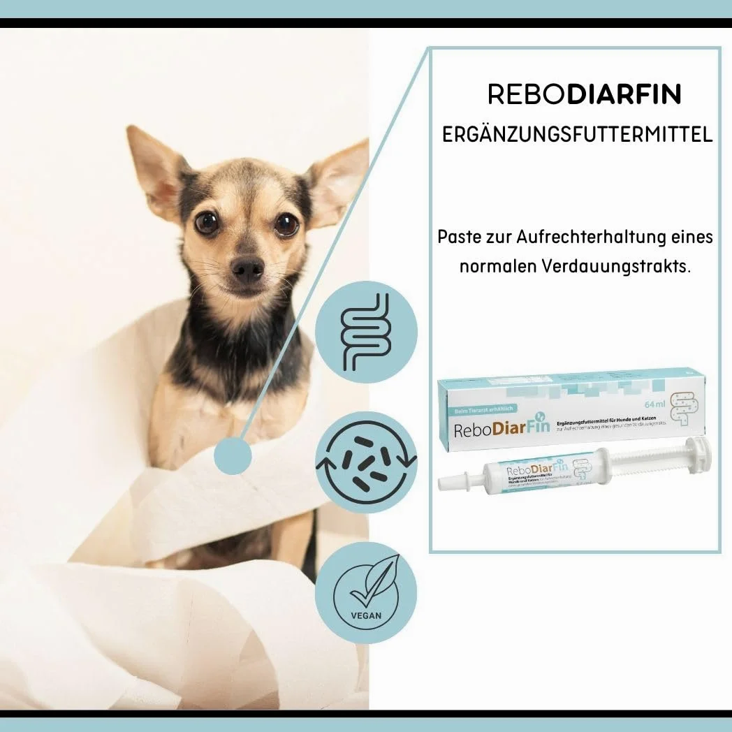ReboDiarFin Pâte digestive pour chiens et chats 64 ml : aide en cas de troubles digestifs, avec pectine et kaolin, enrichie en peptides de glutamine, mélange de probiotiques et de prébiotiques