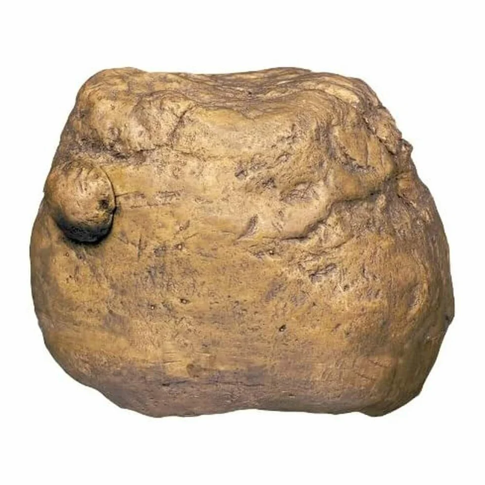 Exoterra Distributeur d'Insecte Feeding Rock pour Reptiles et Amphibiens 12x10x4,5 cm