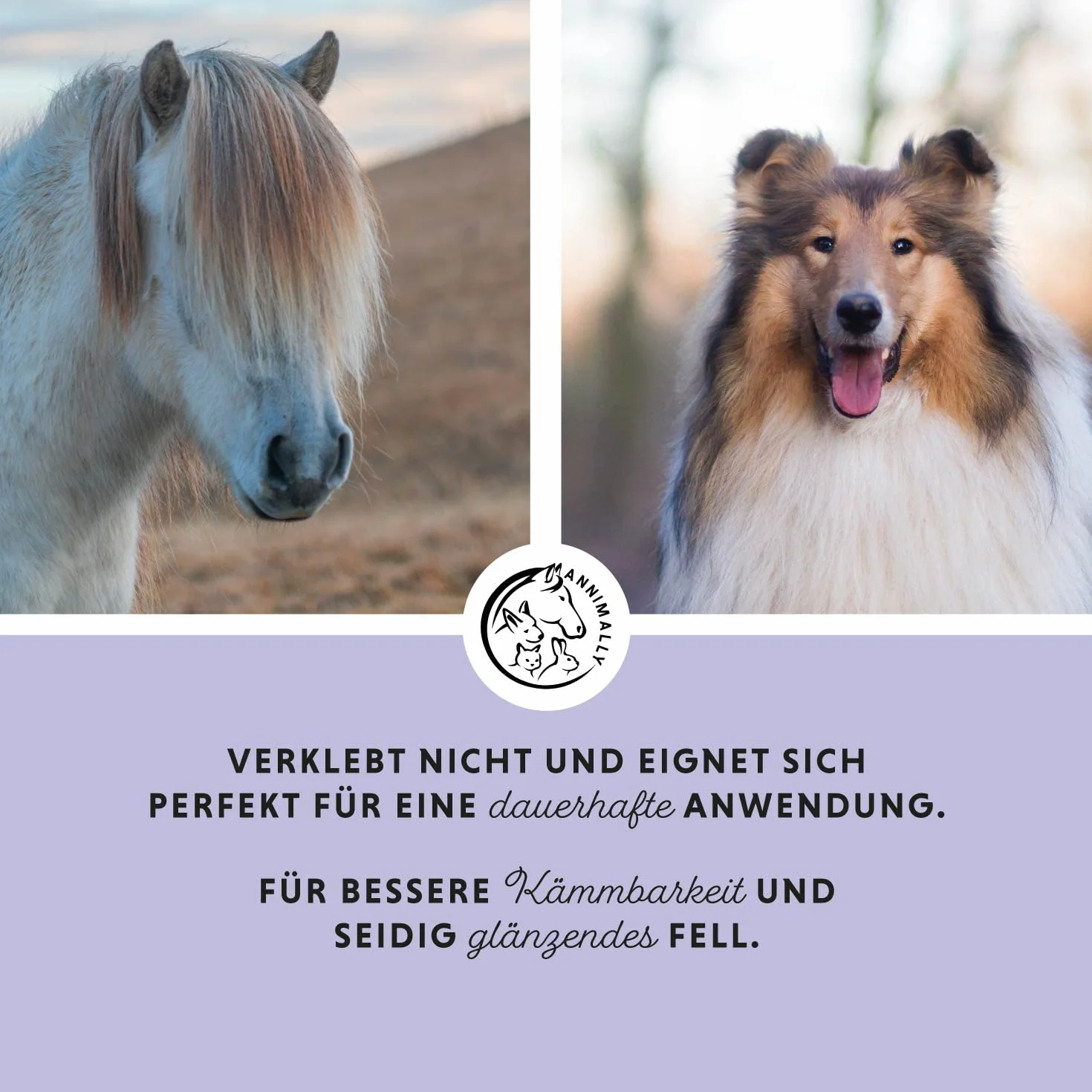 Spray pour crinière et queue démêlant pour chevaux 500ml - Démêlant pour chiens, brossage facilité, pelage soyeux