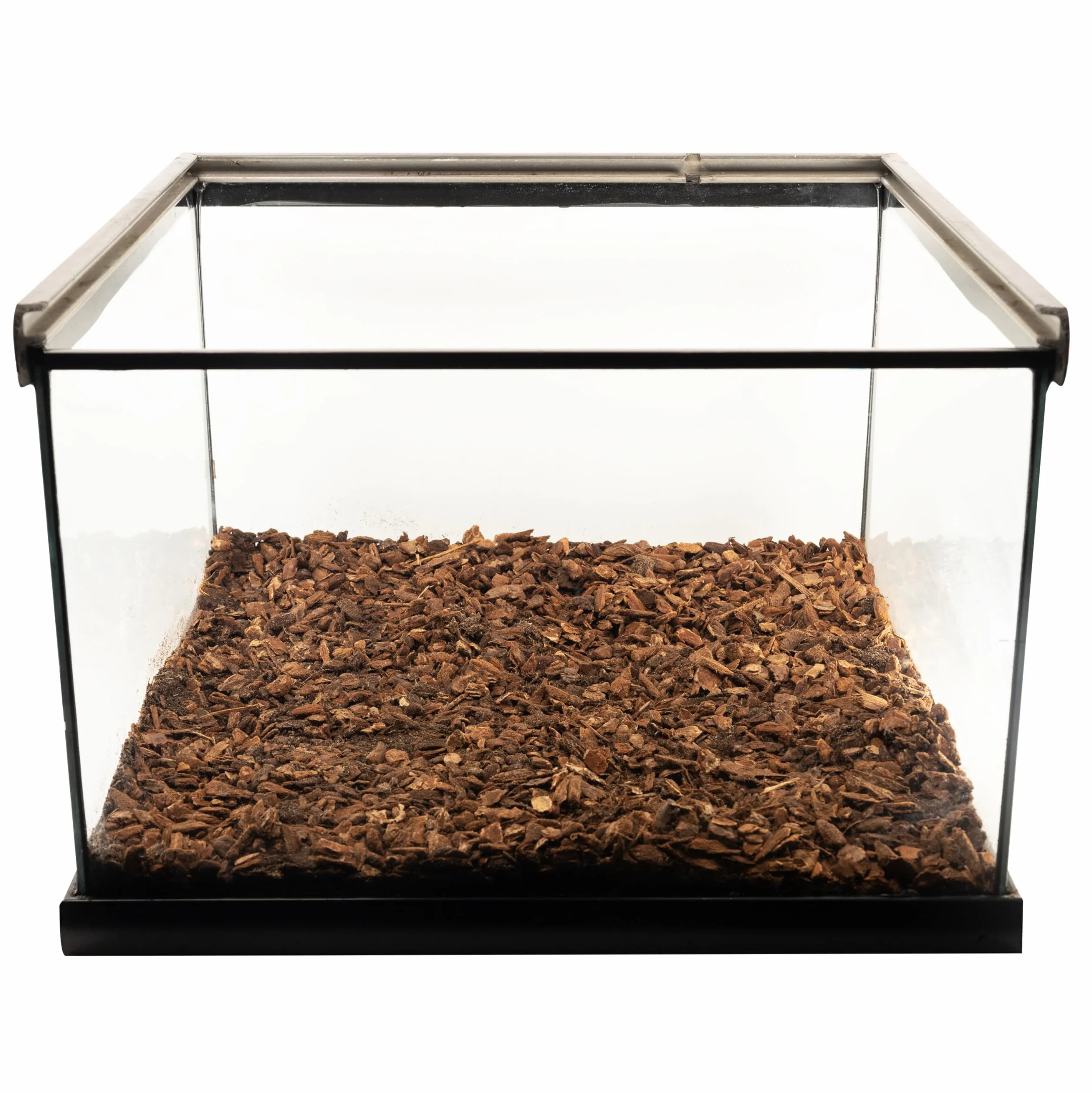 Zoomed Repti-bark Tropical