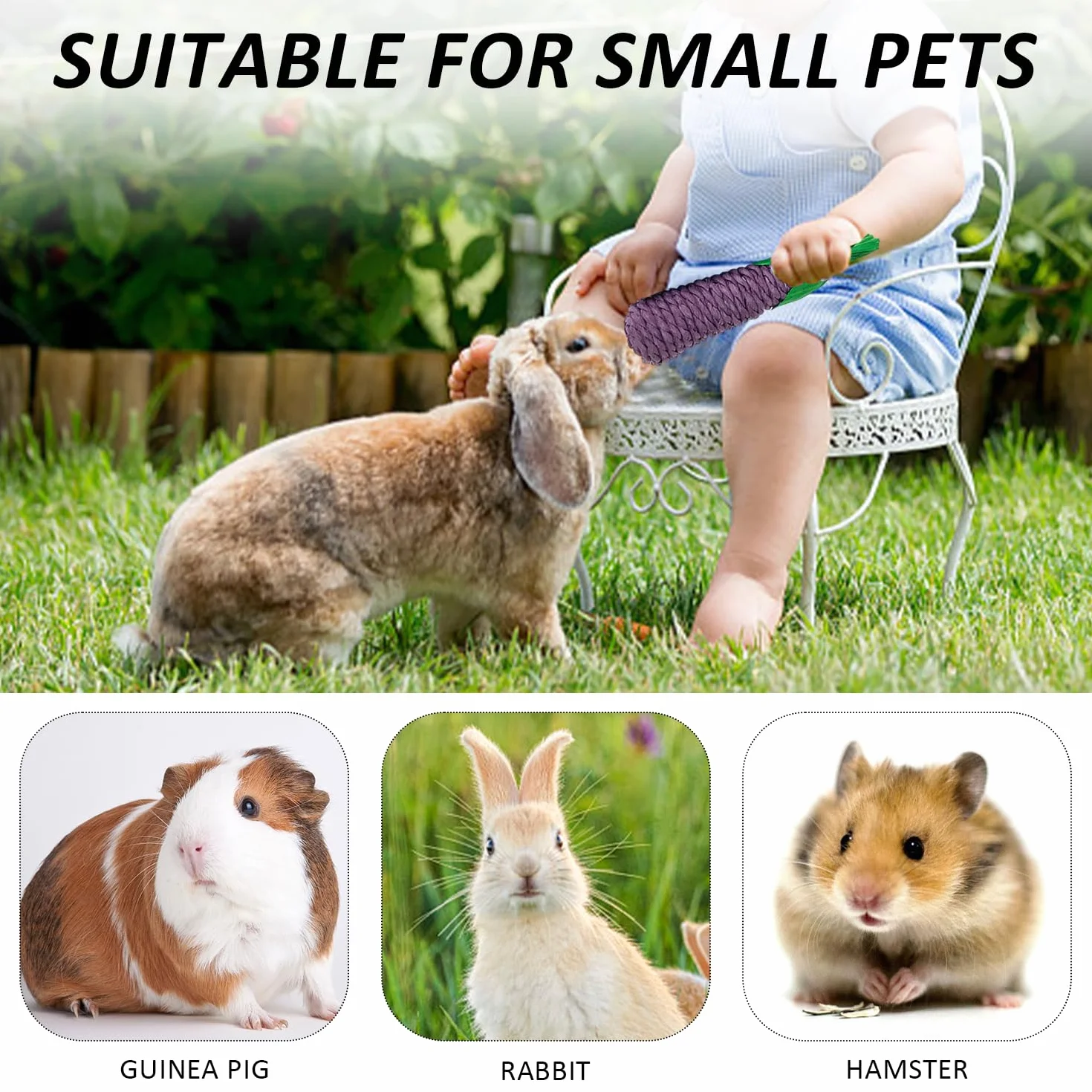 Ensemble de jouets pour hamster : 4 luffas naturels, 2 carottes, 2 radis blancs, 2 maïs, 1 jouet à mâcher d'aubergine