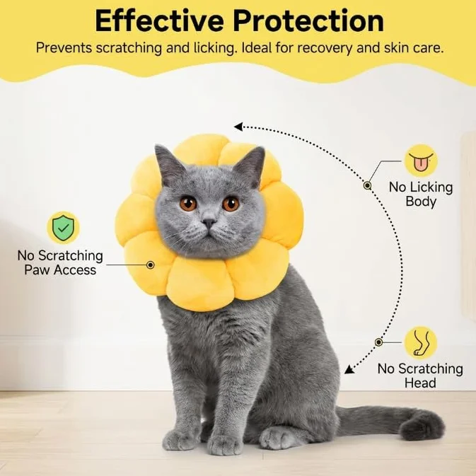 Collerette pour Chat Design Tournesol Collier Élisabethain Doux Protection Après Opération Anti Léchage Réglable