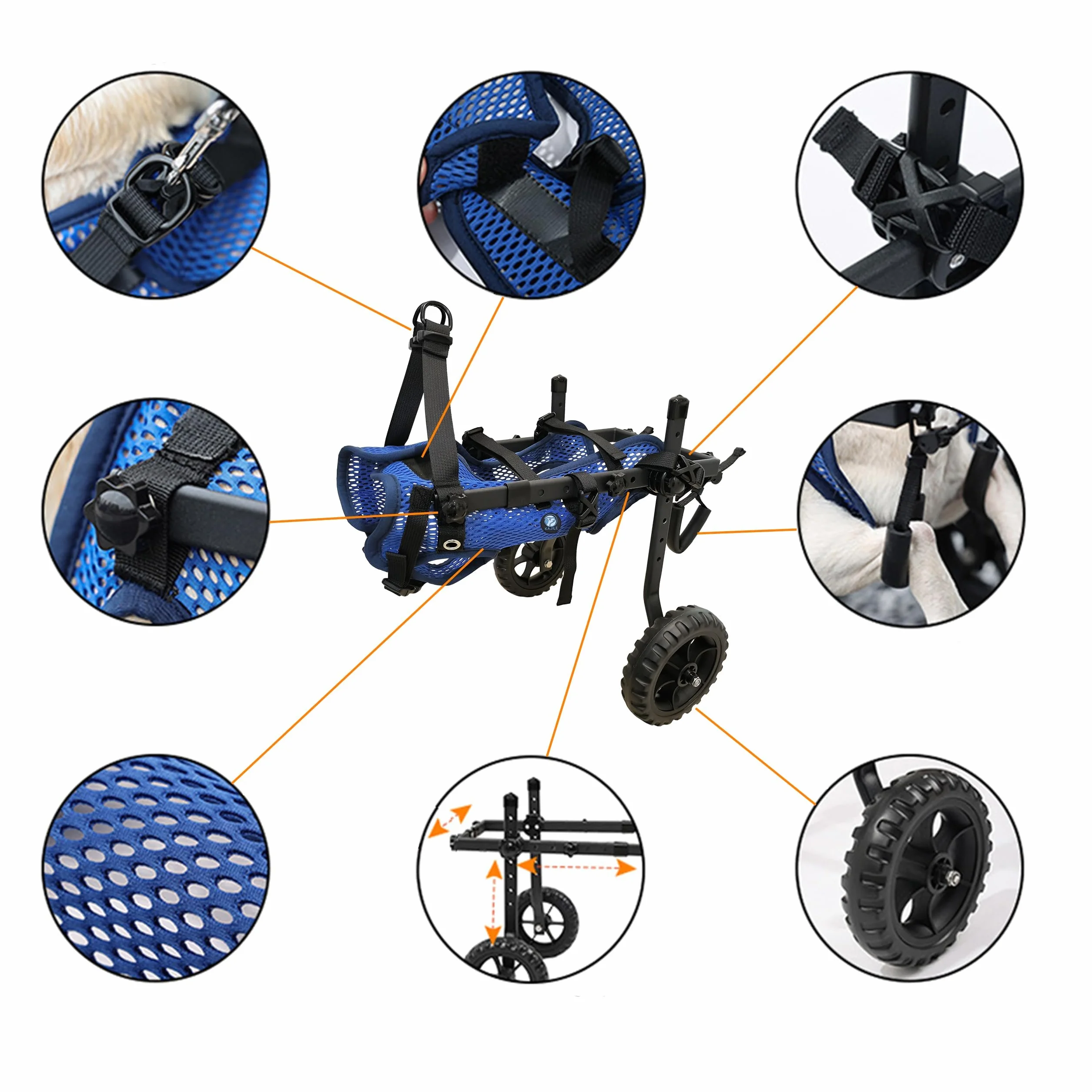 Fauteuil Roulant Pliable et Réglable 2 Roues pour Animaux,Bleu,M | Rééducation des membres postérieurs chez les animaux de compagnie, poussette pour animaux, soutien des pattes arrière